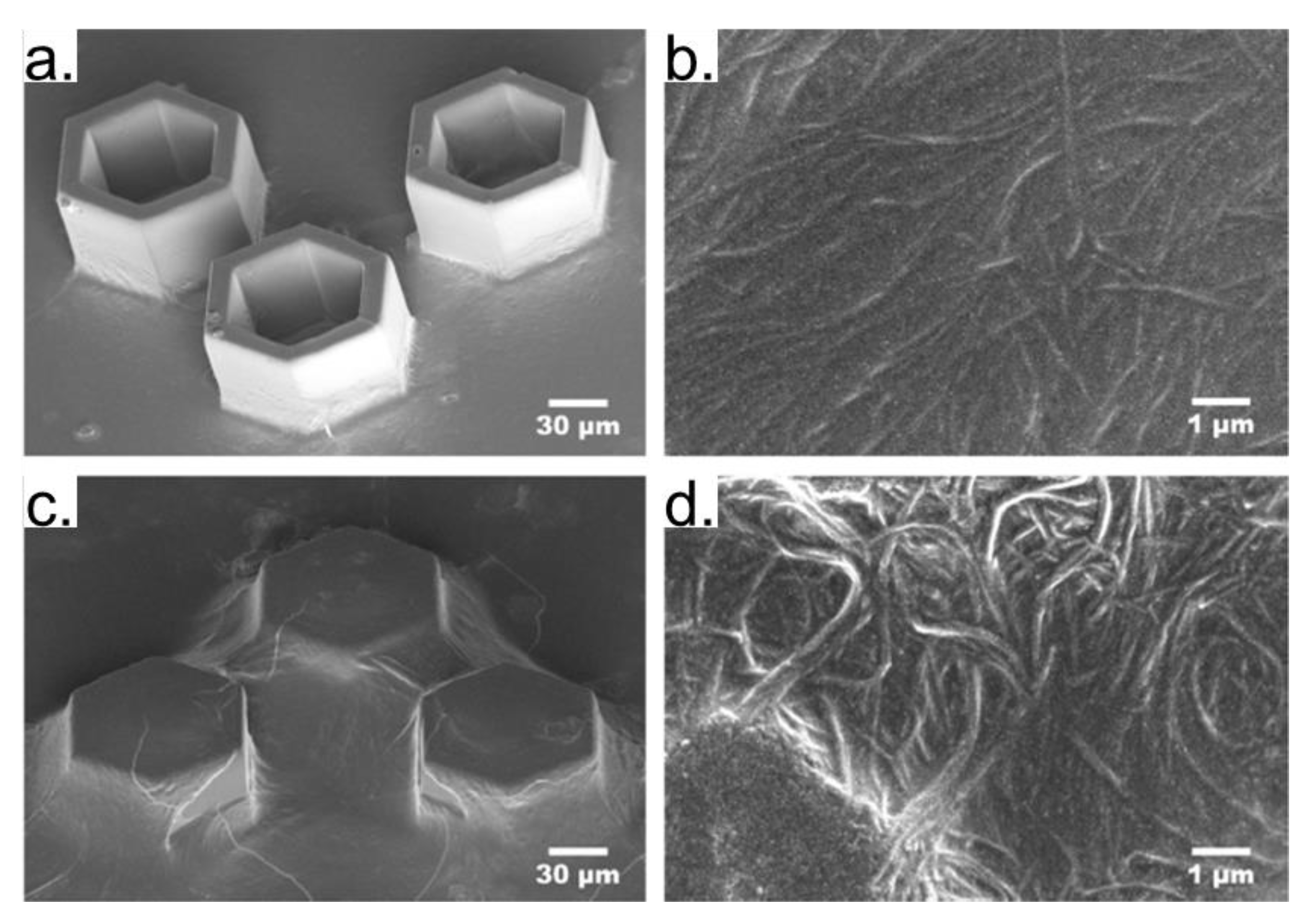 Polymers 13 01994 g019 Polymers 13 01994 g019