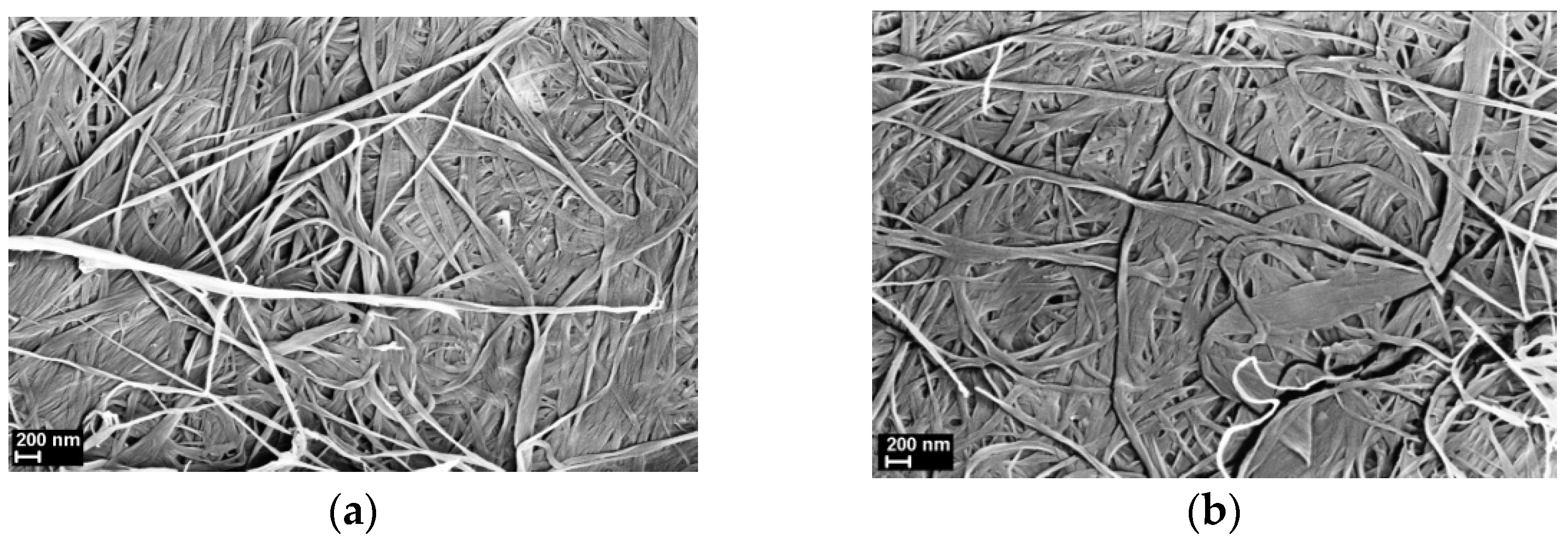Polymers 13 01999 g001a Polymers 13 01999 g001a