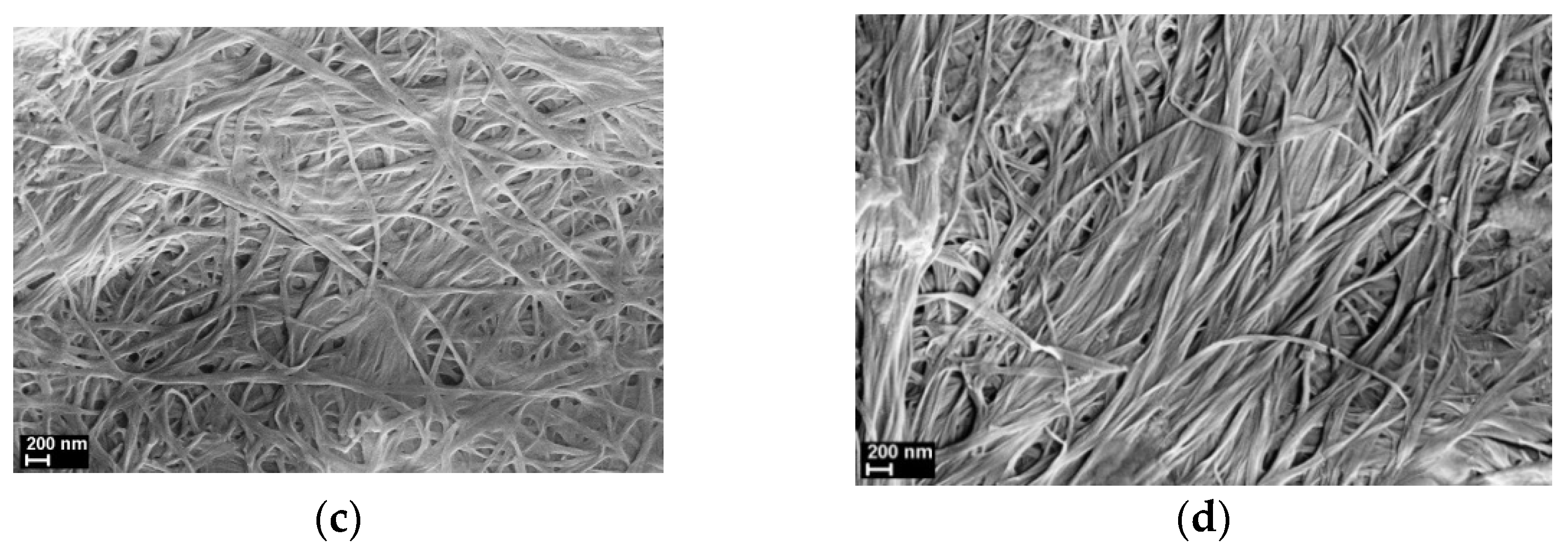 Polymers 13 01999 g001b Polymers 13 01999 g001b