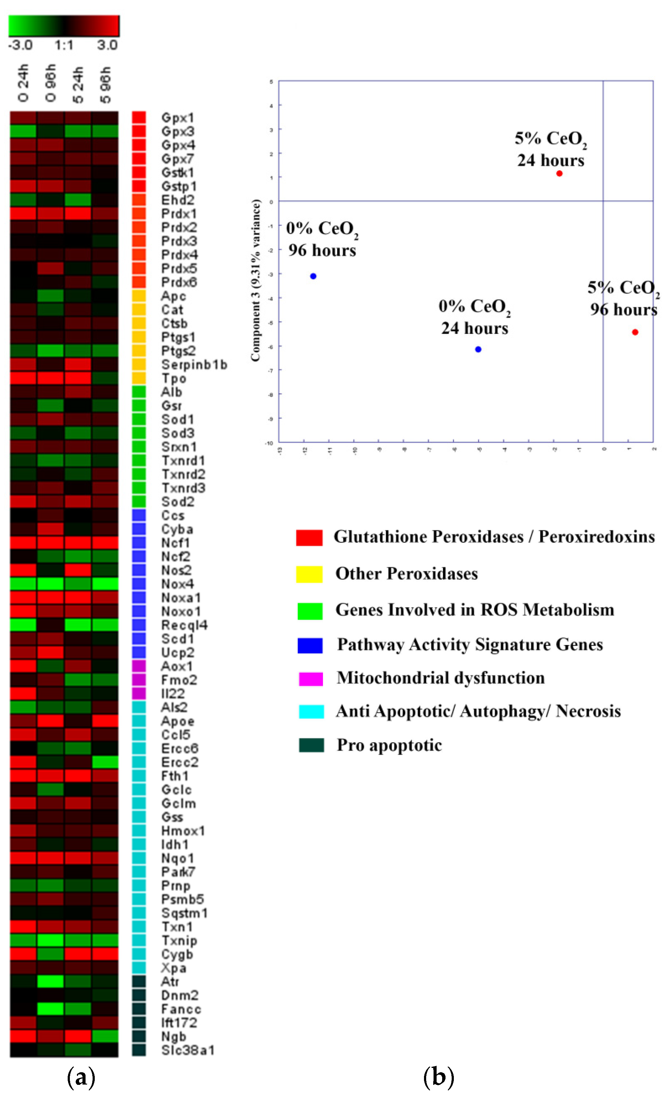 Polymers 13 01999 g009 Polymers 13 01999 g009