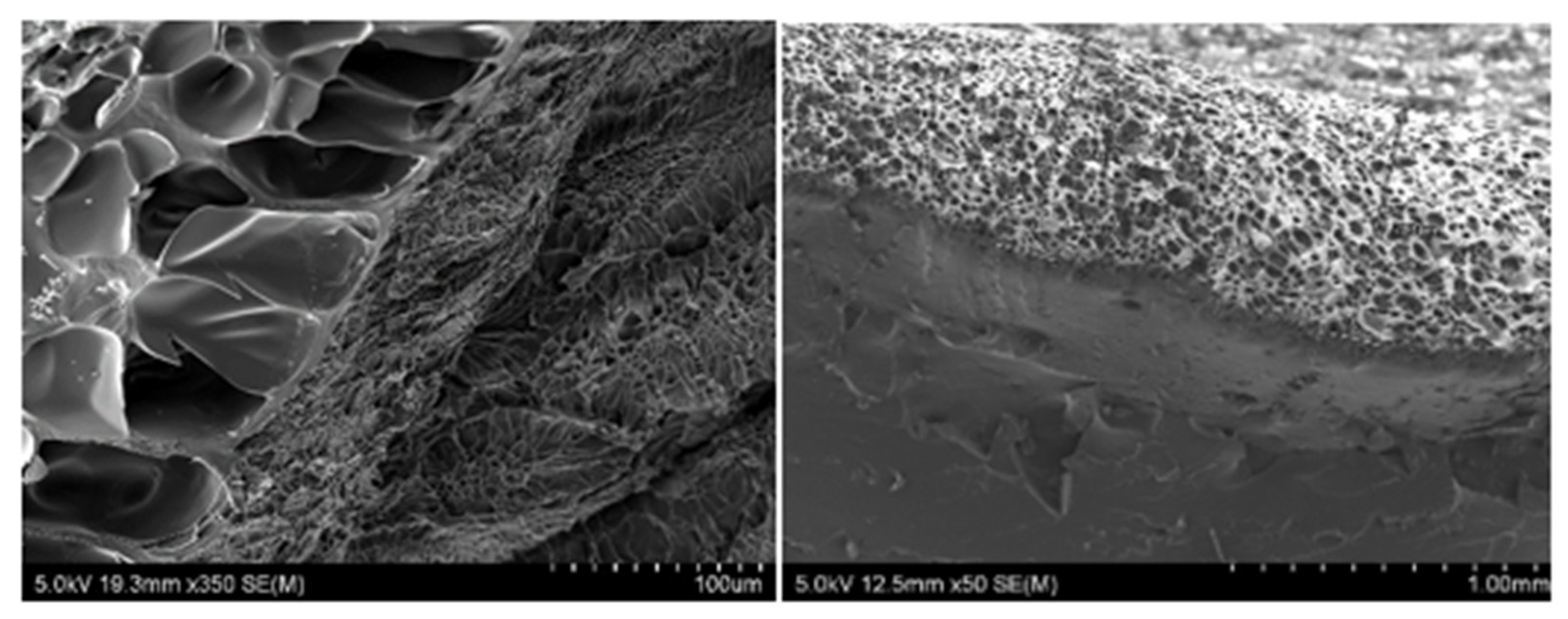 Polymers 13 02000 g002 Polymers 13 02000 g002