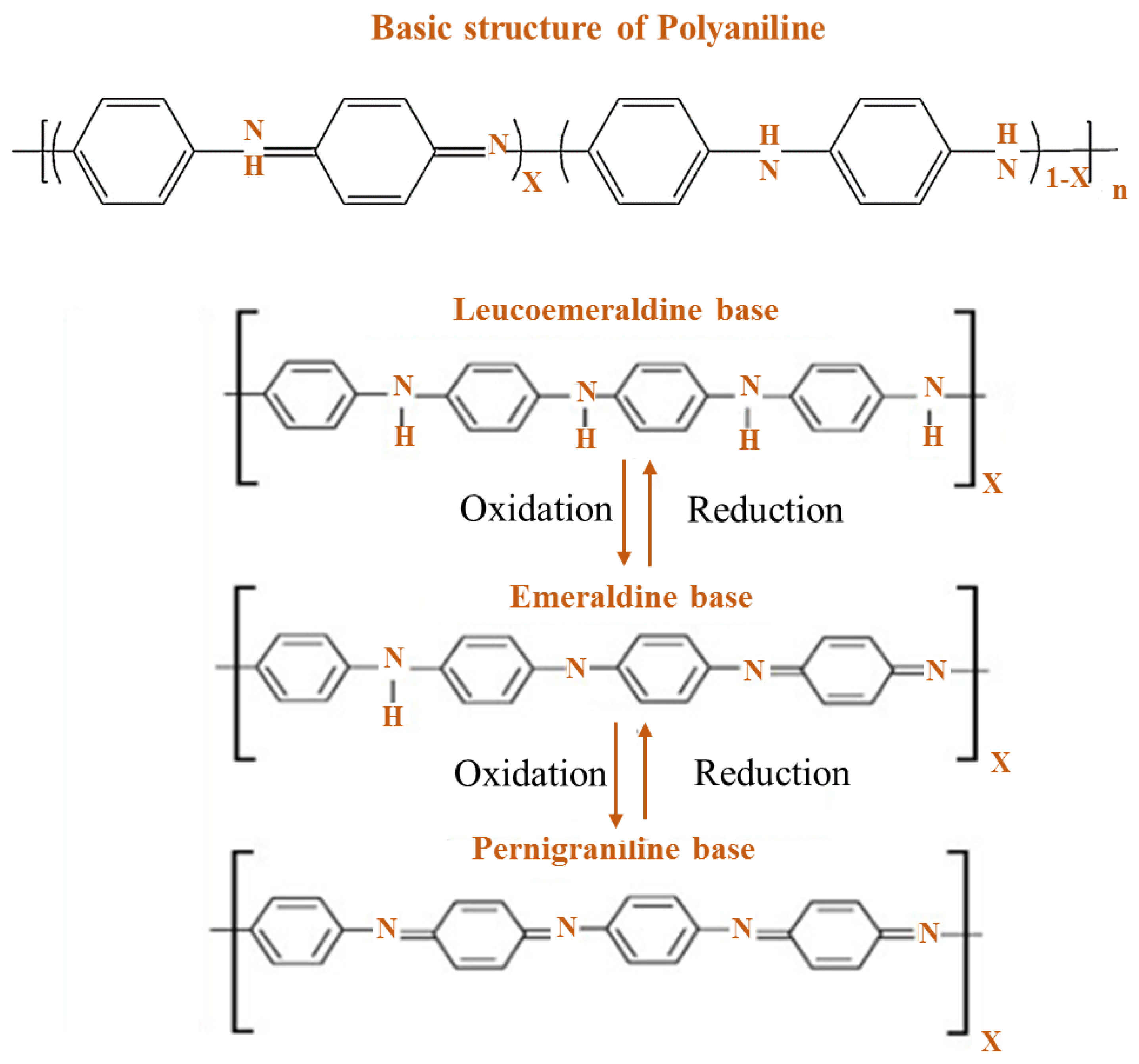 Polymers 13 02003 g002