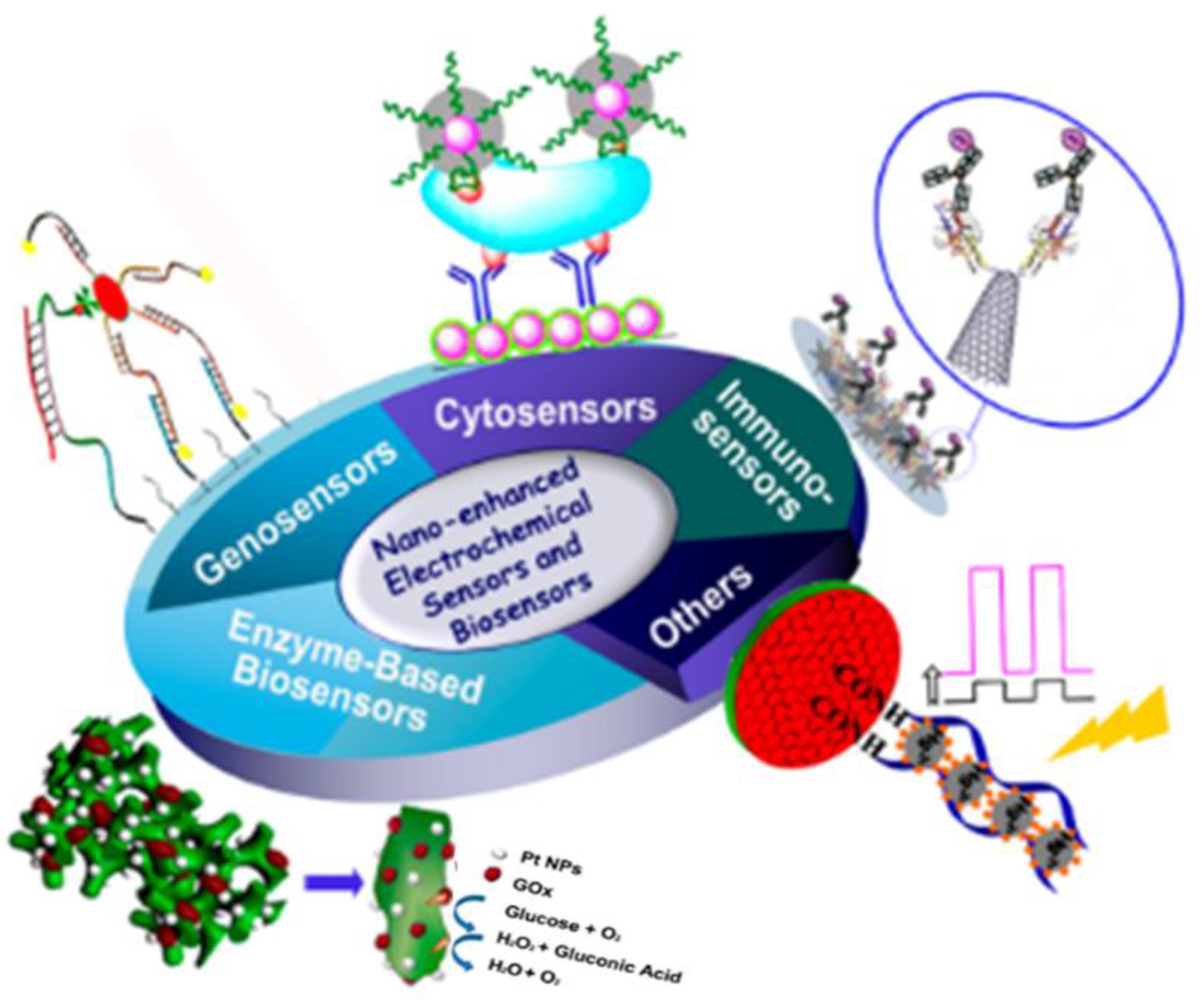 Polymers 13 02003 g027