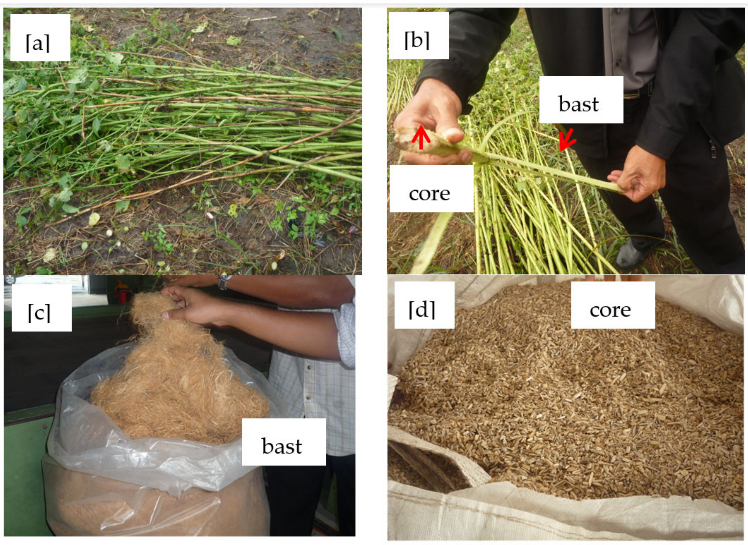 Polymers 13 02005 g001