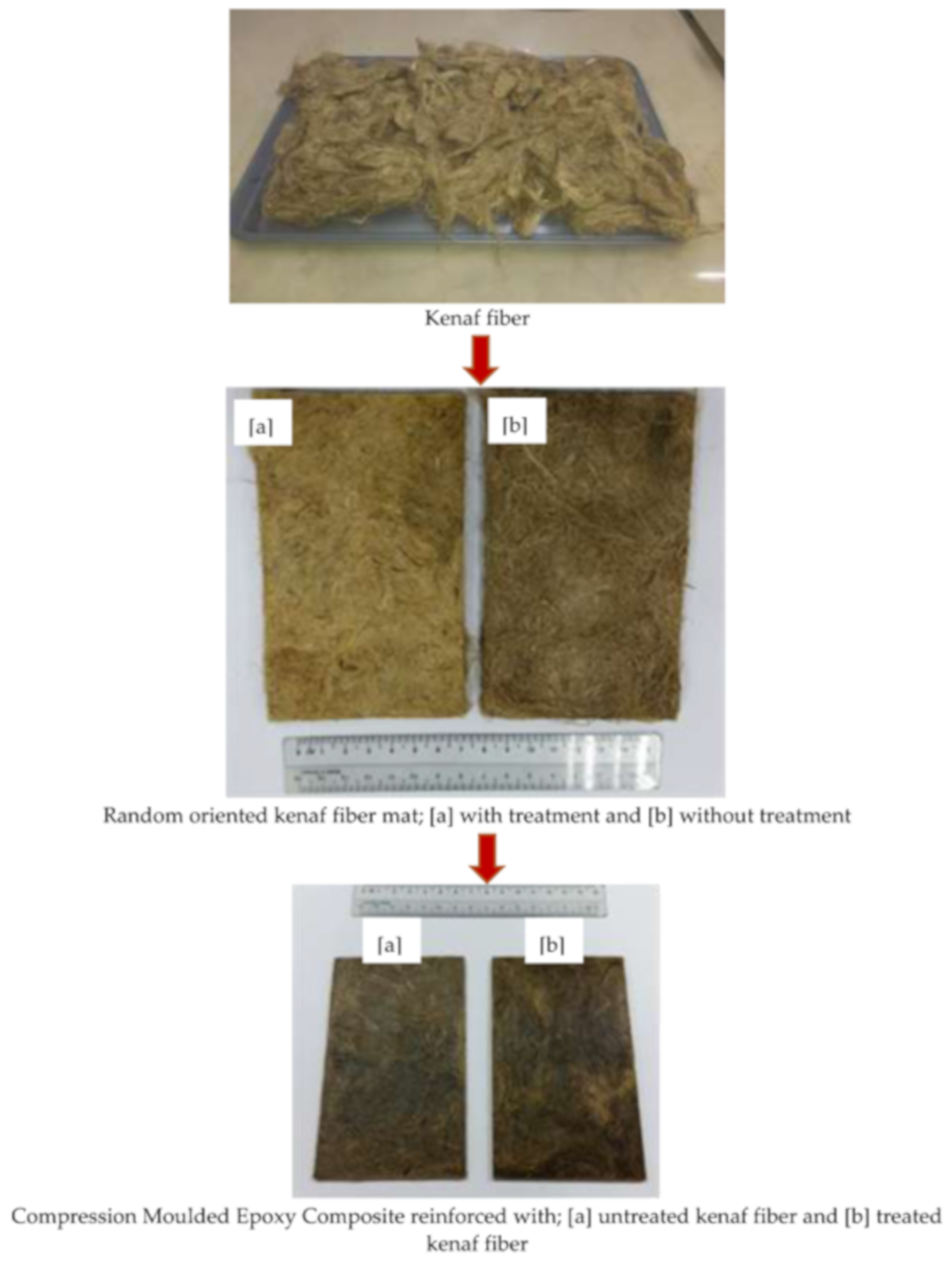 Polymers 13 02005 g003