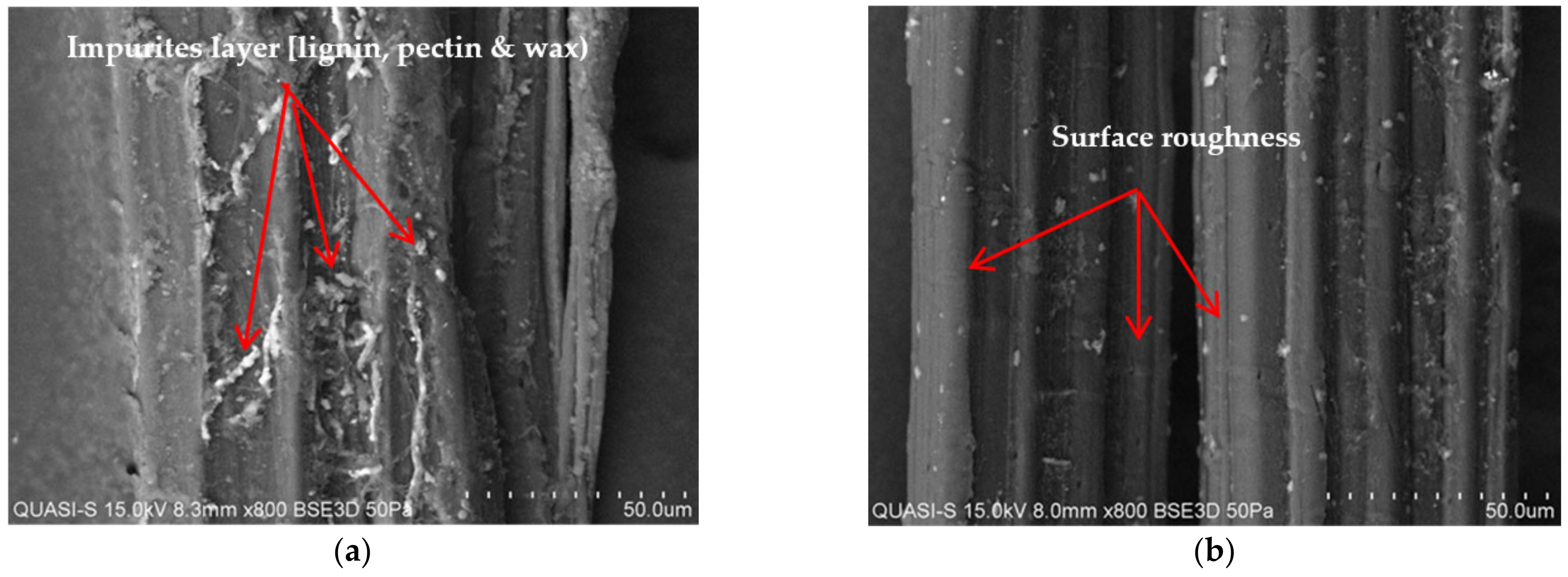 Polymers 13 02005 g007