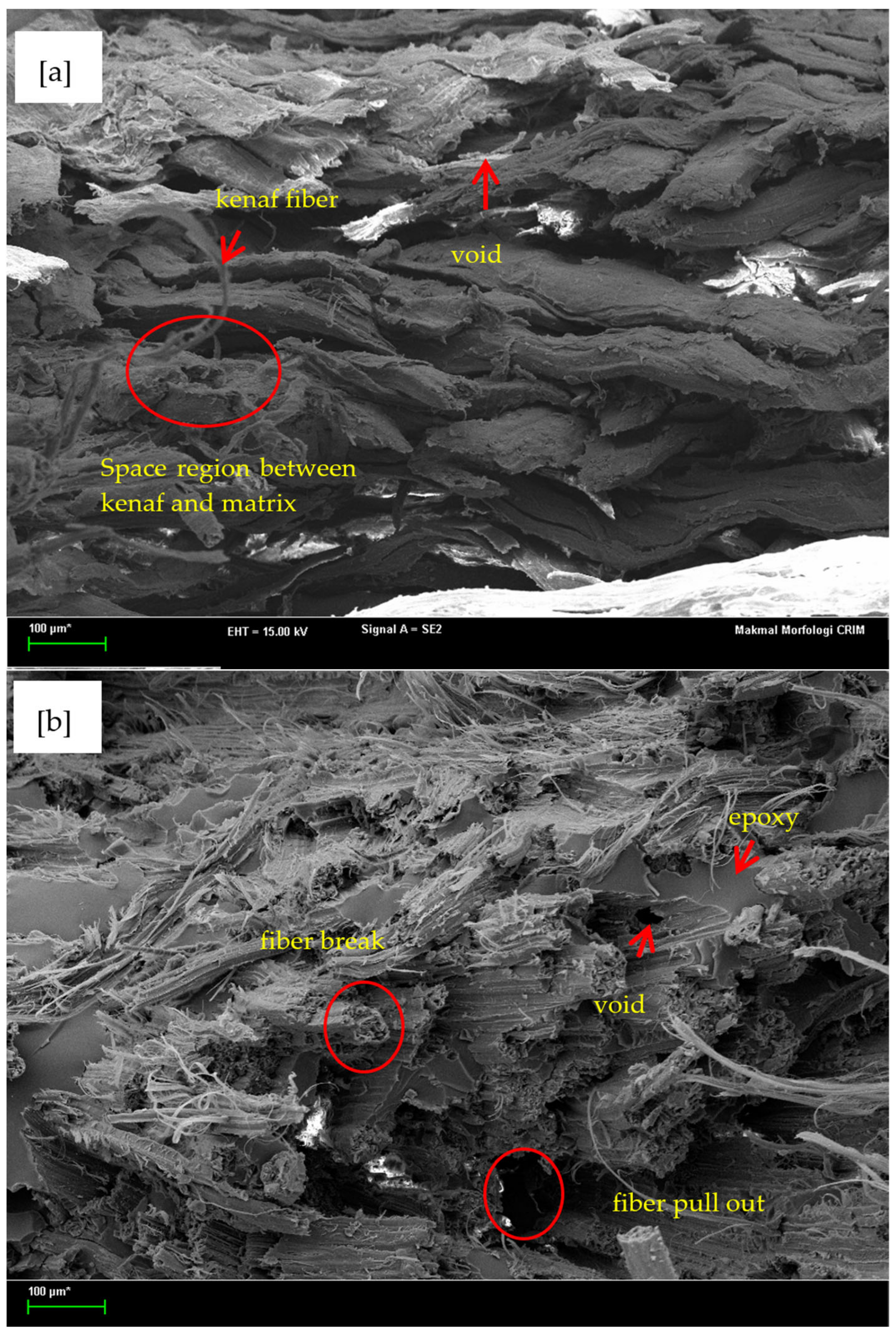 Polymers 13 02005 g013