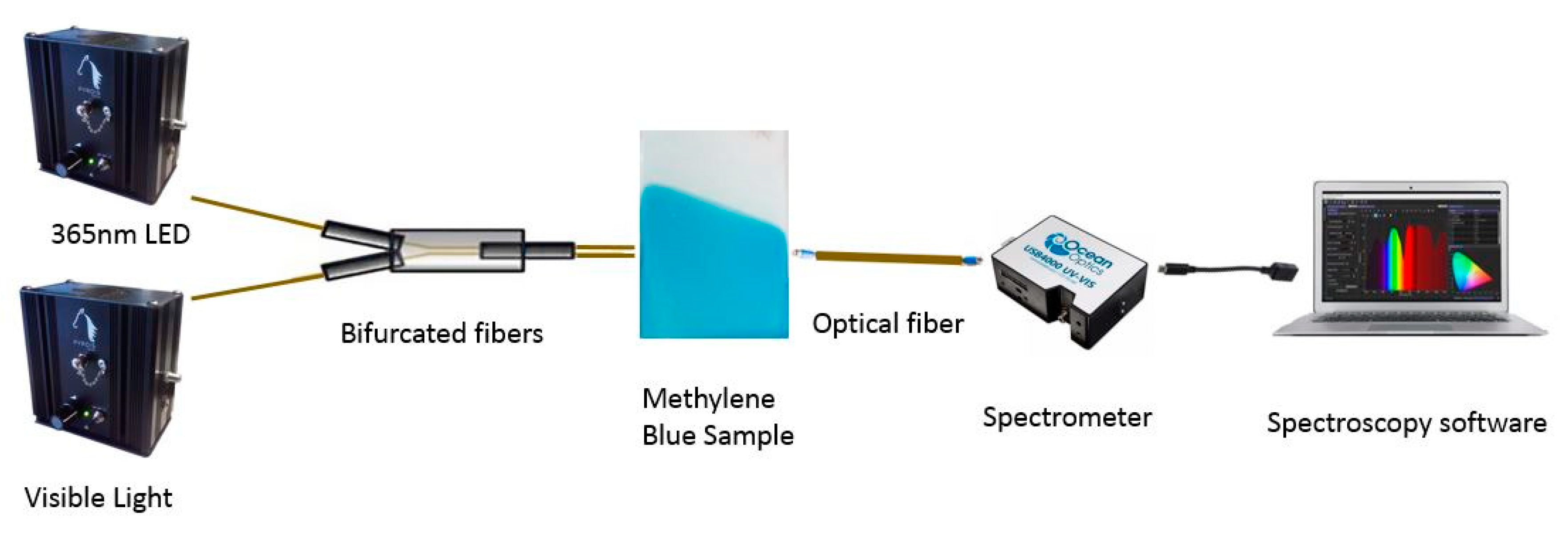 Polymers 13 02011 g002 Polymers 13 02011 g002