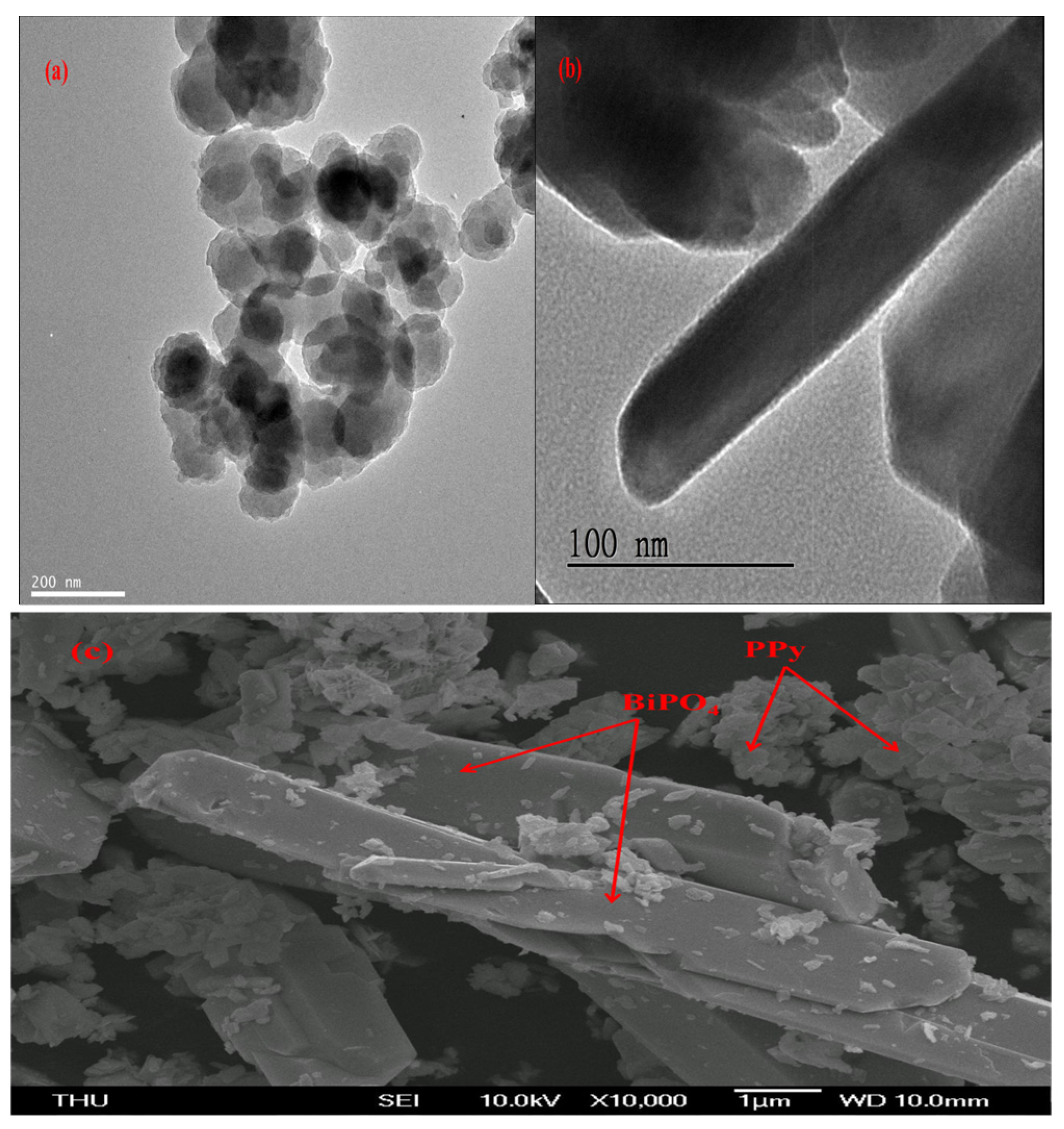Polymers 13 02013 g003