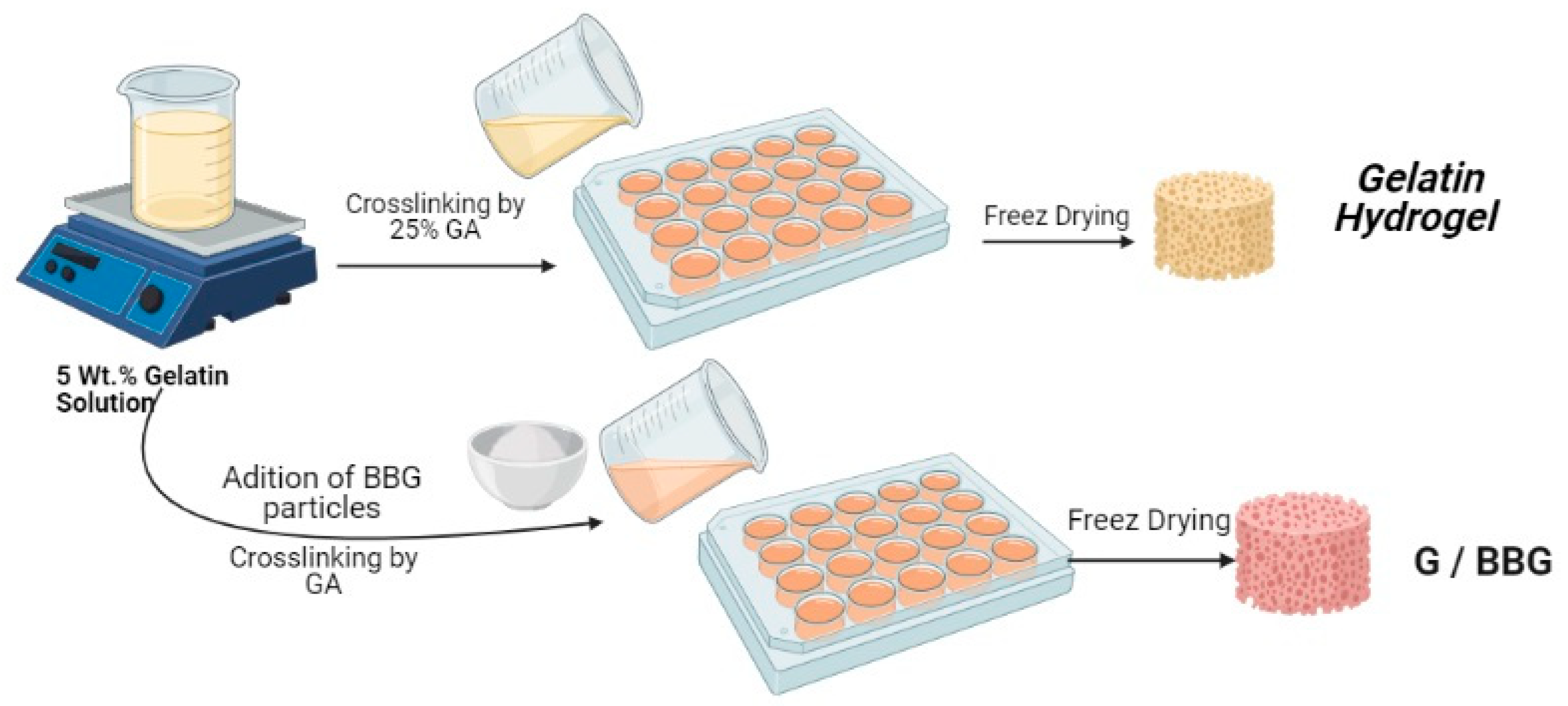 Polymers 13 02014 g001