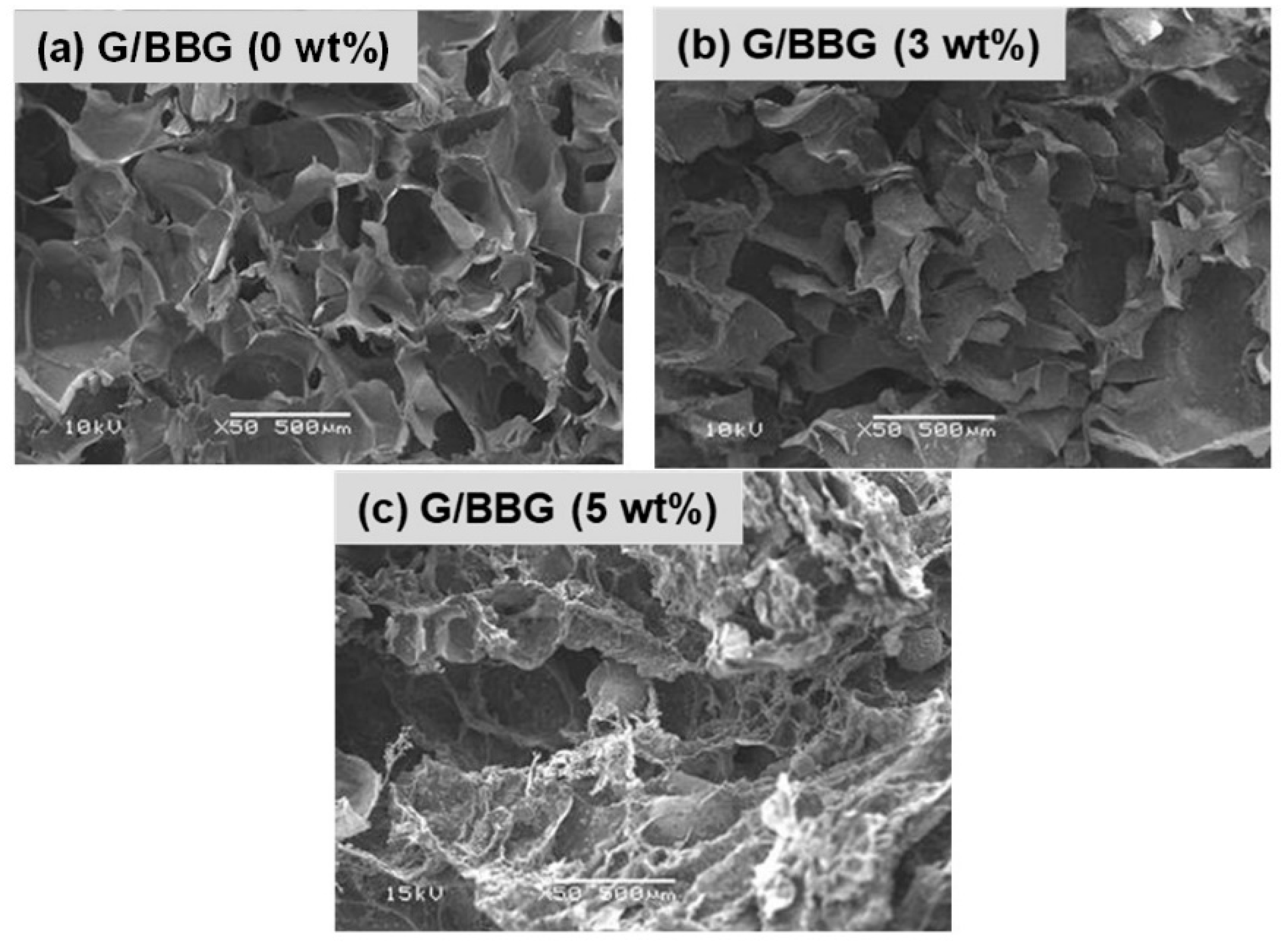 Polymers 13 02014 g005
