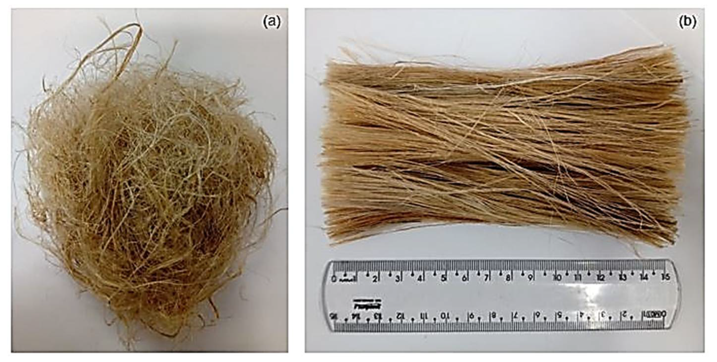 Polymers | Free Full-Text | Thermal and Chemical Characterization of Kenaf  Fiber (Hibiscus cannabinus) Reinforced Epoxy Matrix Composites