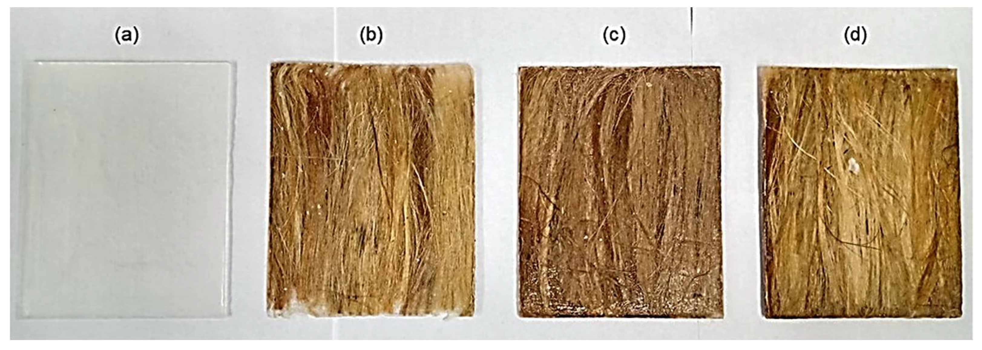 Polymers 13 02016 g003