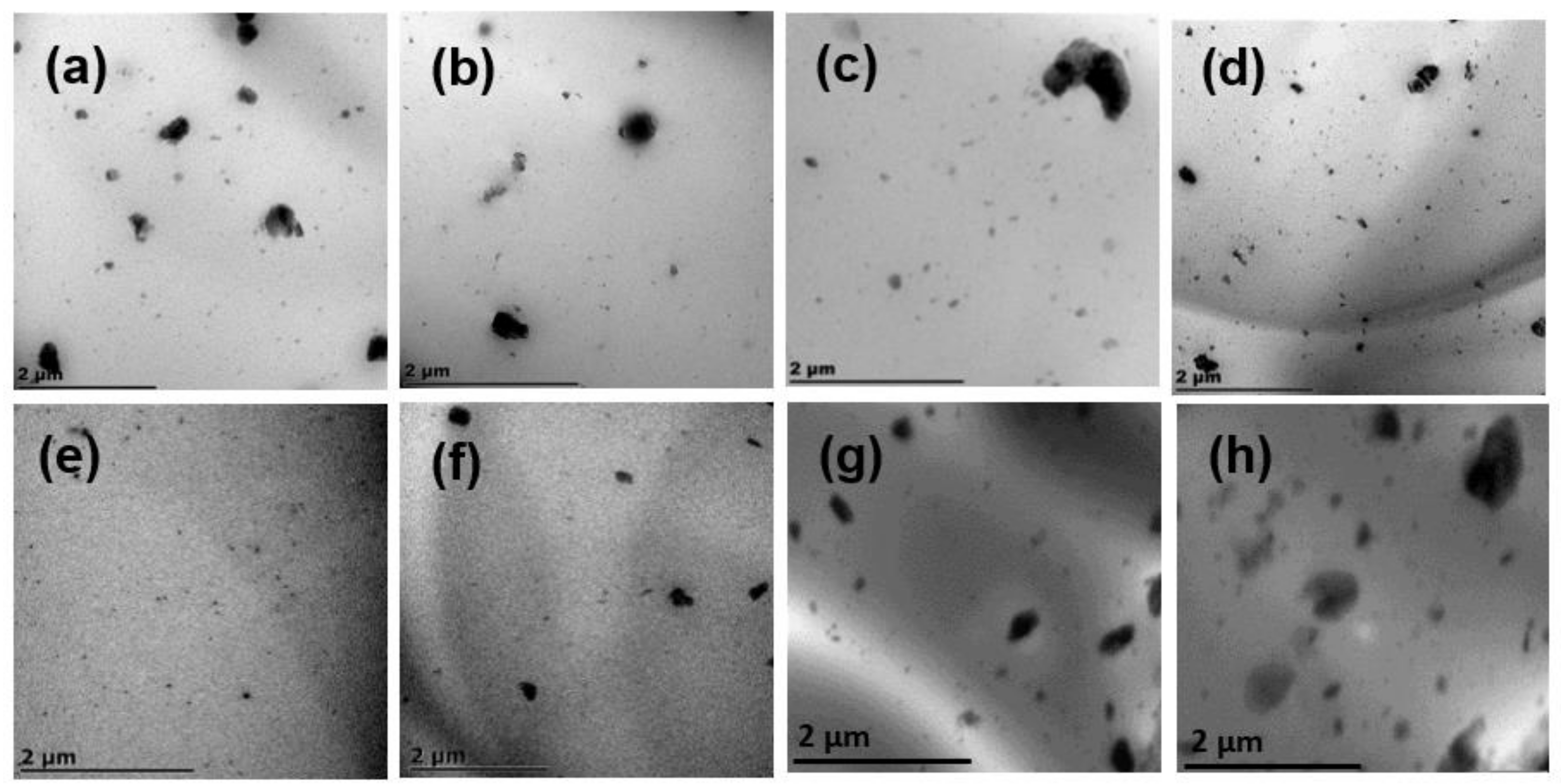 Polymers 13 02019 g005