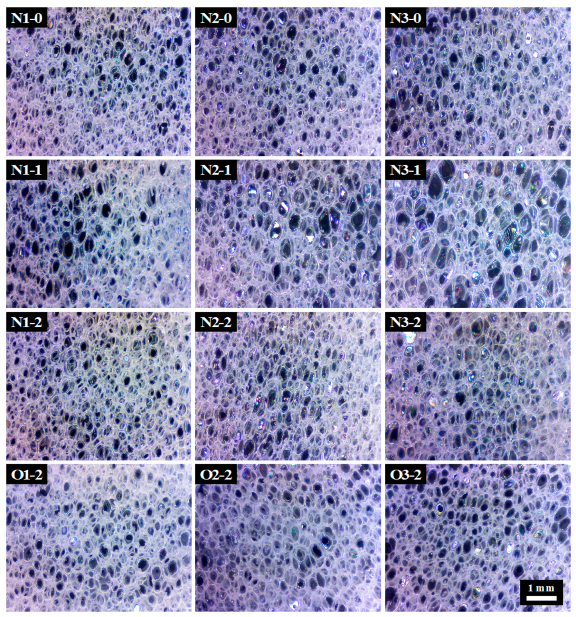 Polymers 13 02020 g004 550