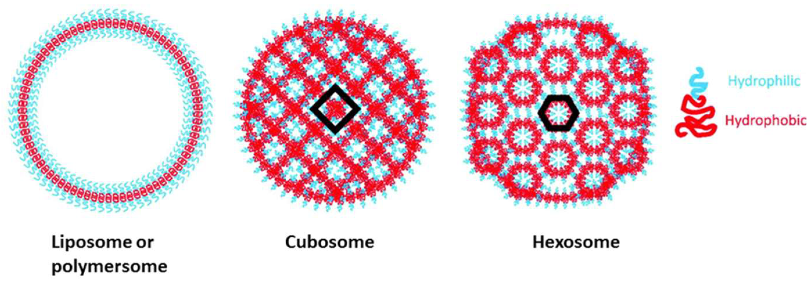 Polymers 13 02022 g001 Polymers 13 02022 g001