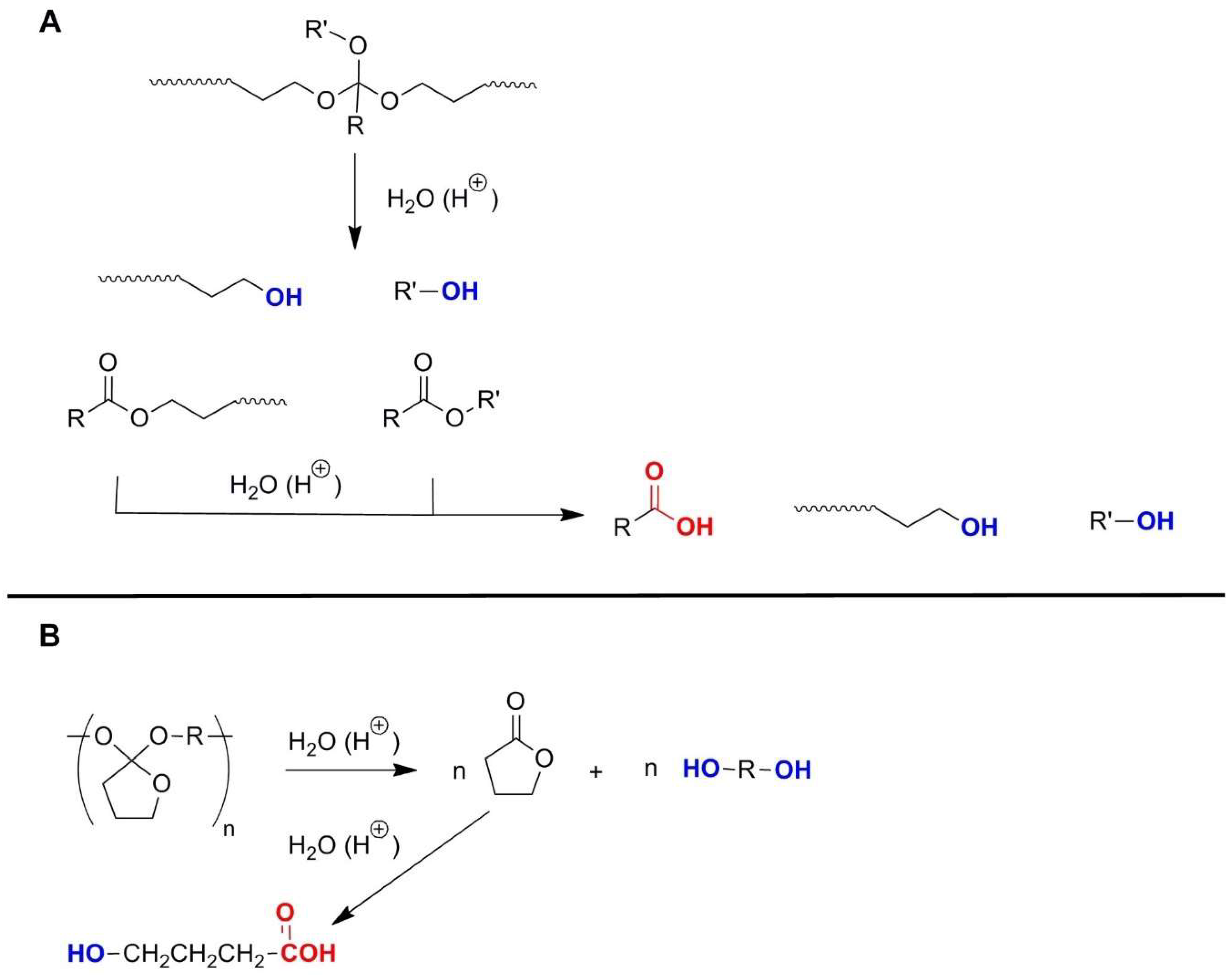 Polymers Free Full Text Functionalized Particles Designed For Targeted Delivery Html Polymers Free Full Text Functionalized Particles Designed For Targeted Delivery Html