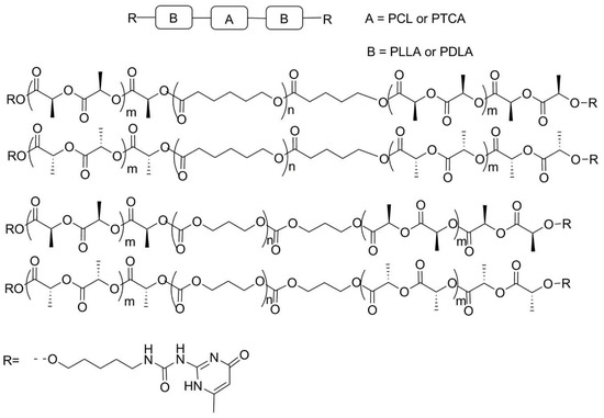 Functionalized Particles Designed for Targeted Delivery