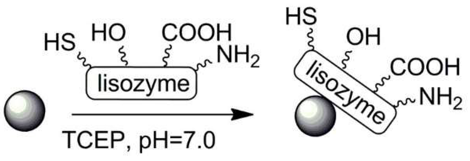 Polymers 13 02022 sch022 Polymers 13 02022 sch022