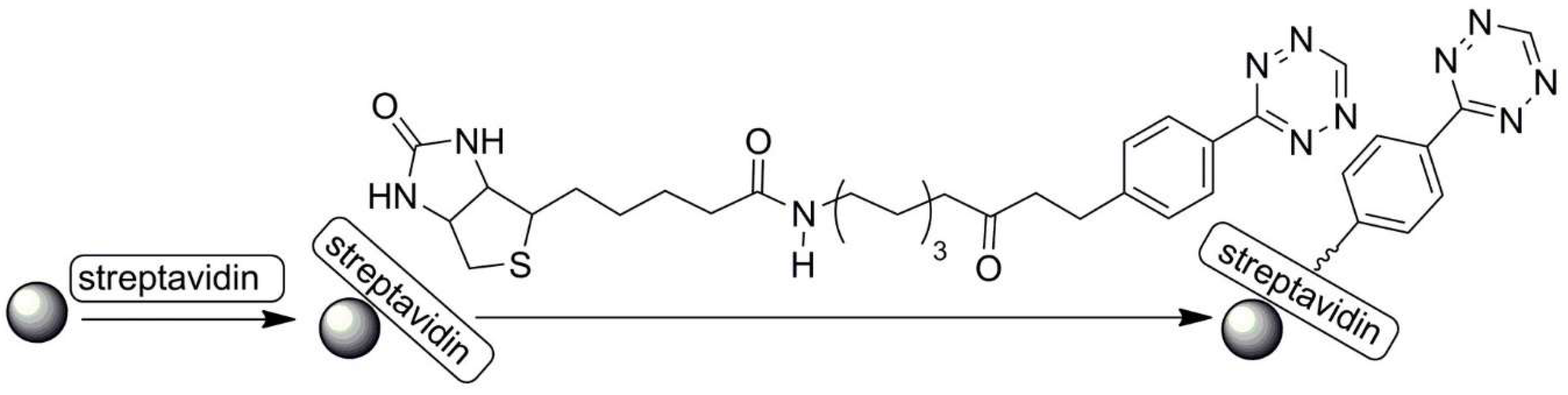 Polymers 13 02022 sch024 Polymers 13 02022 sch024