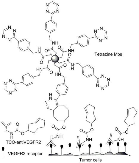 Functionalized Particles Designed for Targeted Delivery Functionalized Particles Designed for Targeted Delivery