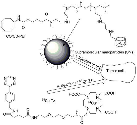 Functionalized Particles Designed for Targeted Delivery Functionalized Particles Designed for Targeted Delivery