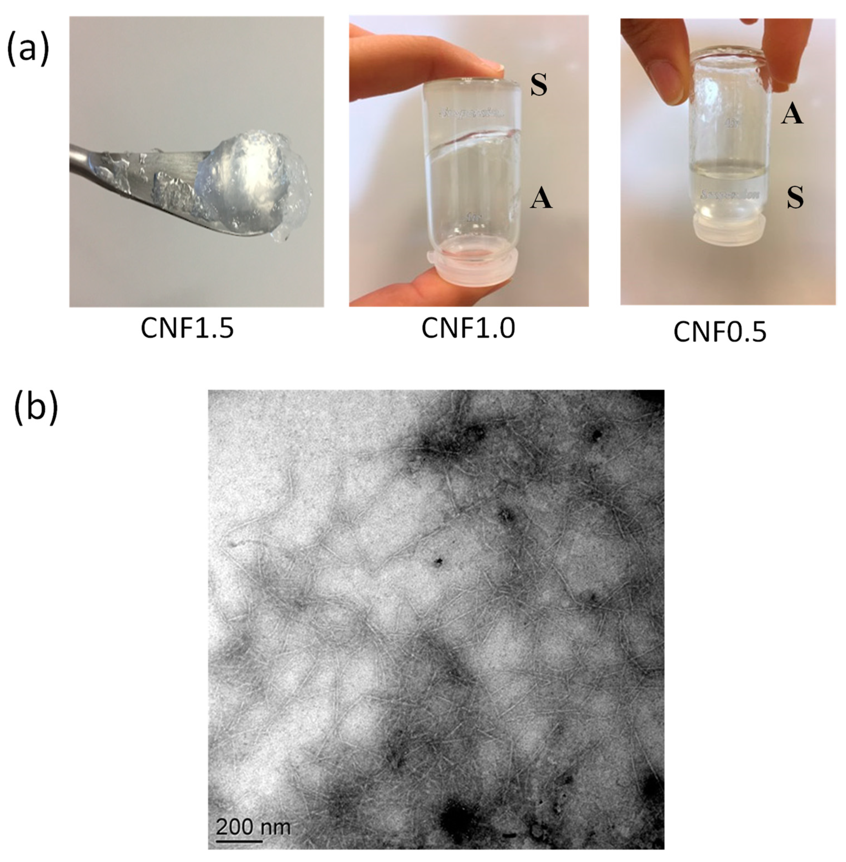 Polymers 13 02023 g003 550