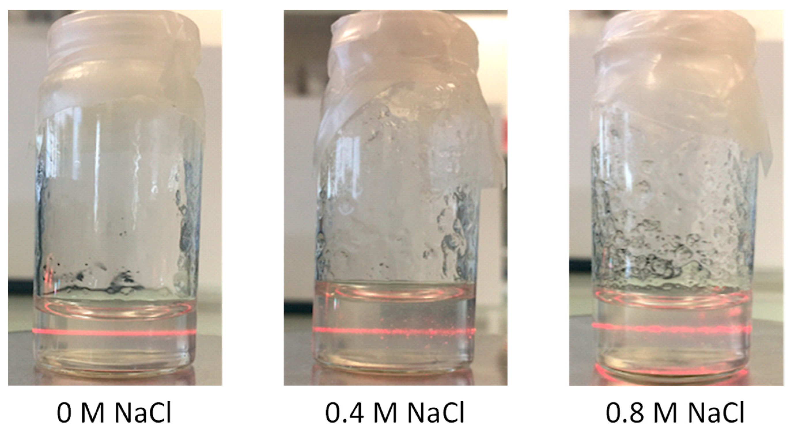 Polymers 13 02023 g004 550