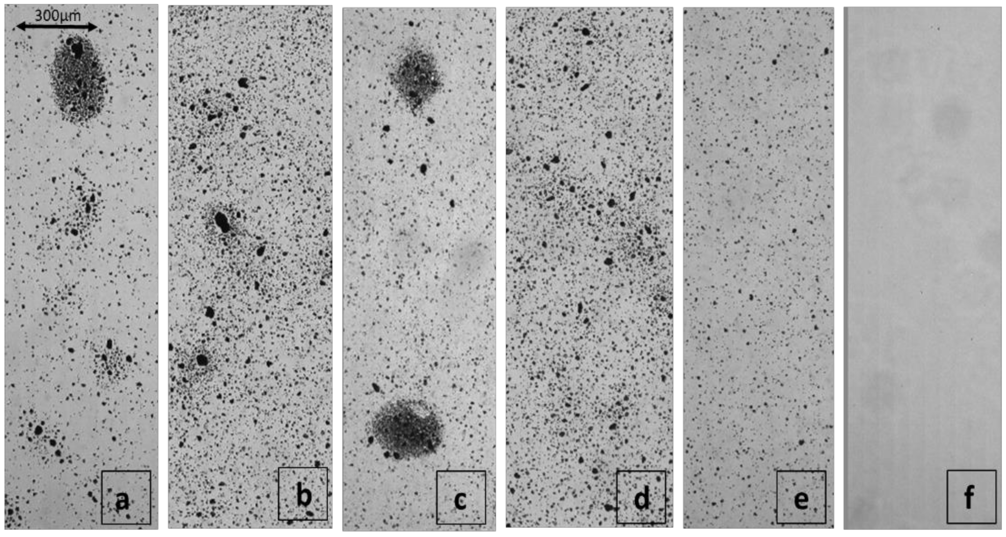 Polymers 13 02024 g002 550