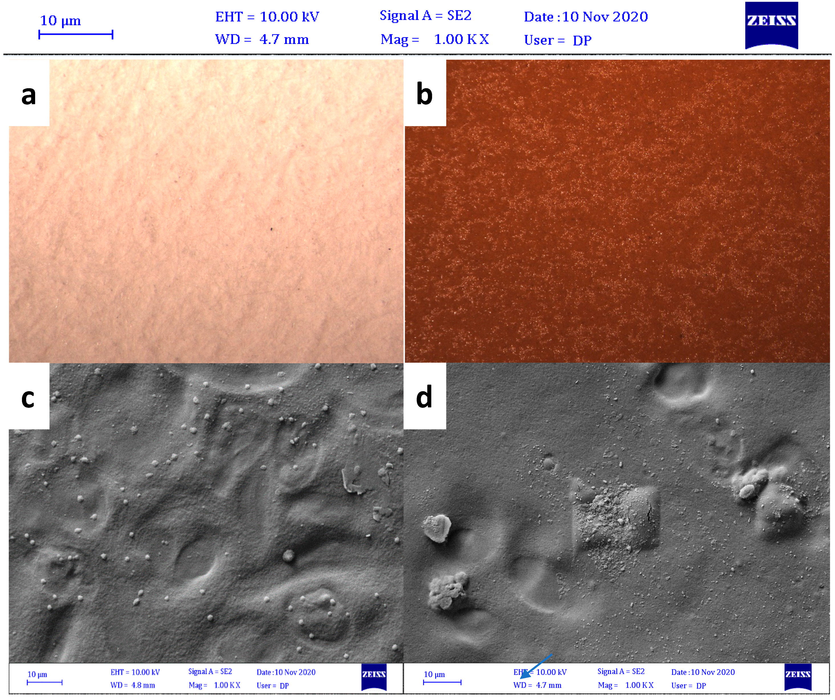 Polymers 13 02024 g004 550