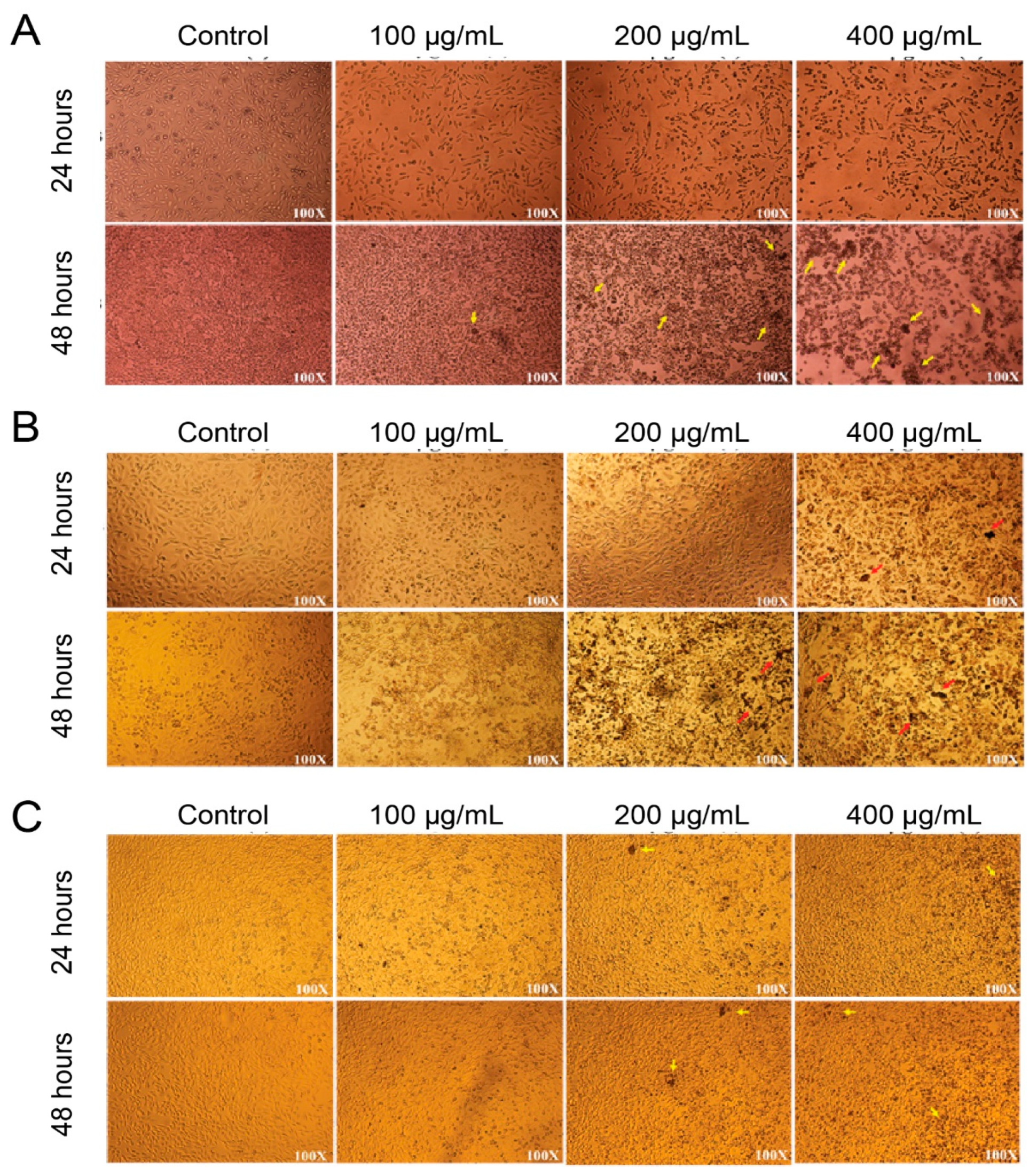 Polymers 13 02025 g005