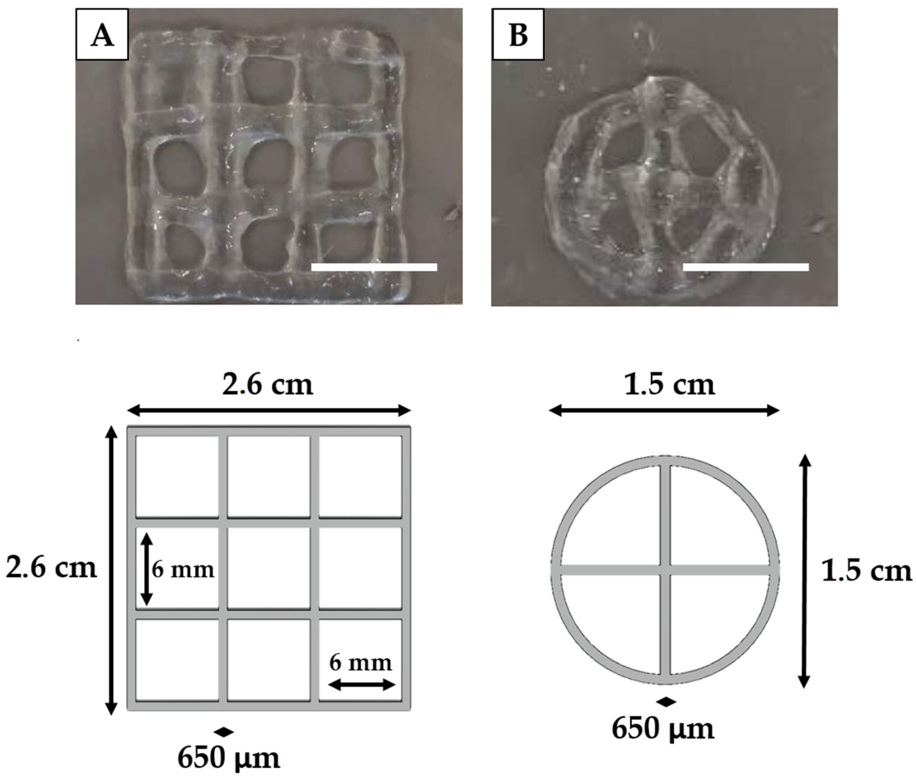 Polymers 13 02026 g006 550