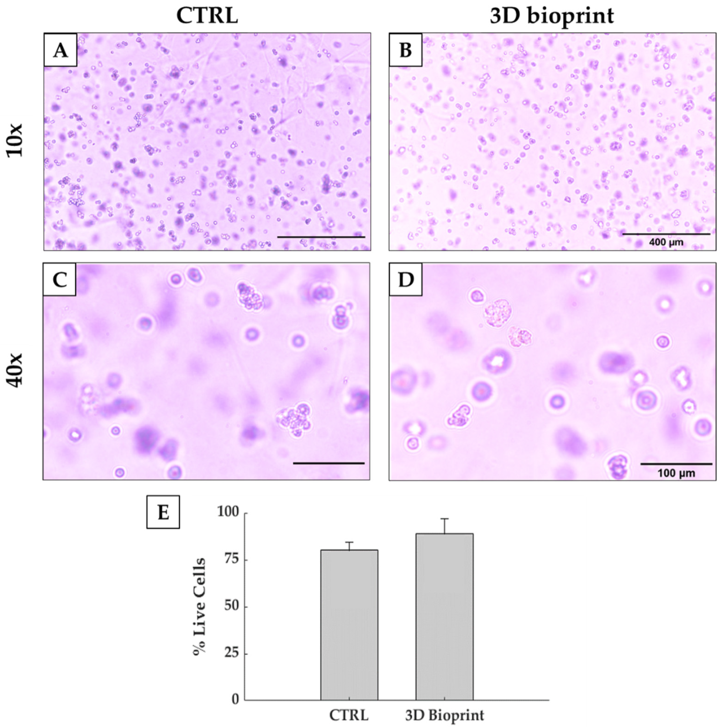 Polymers 13 02026 g008 550