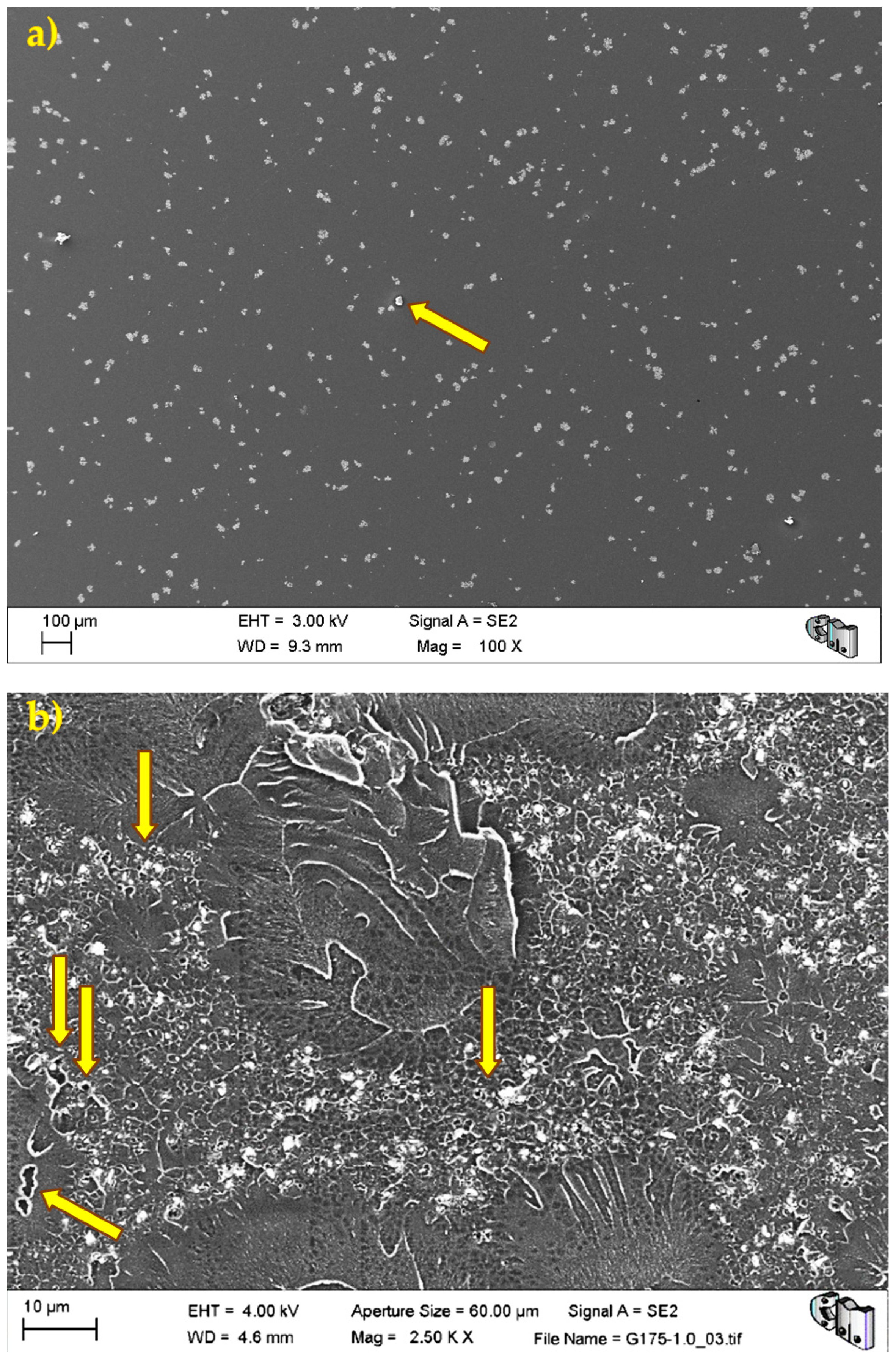 Polymers 13 02027 g004 550