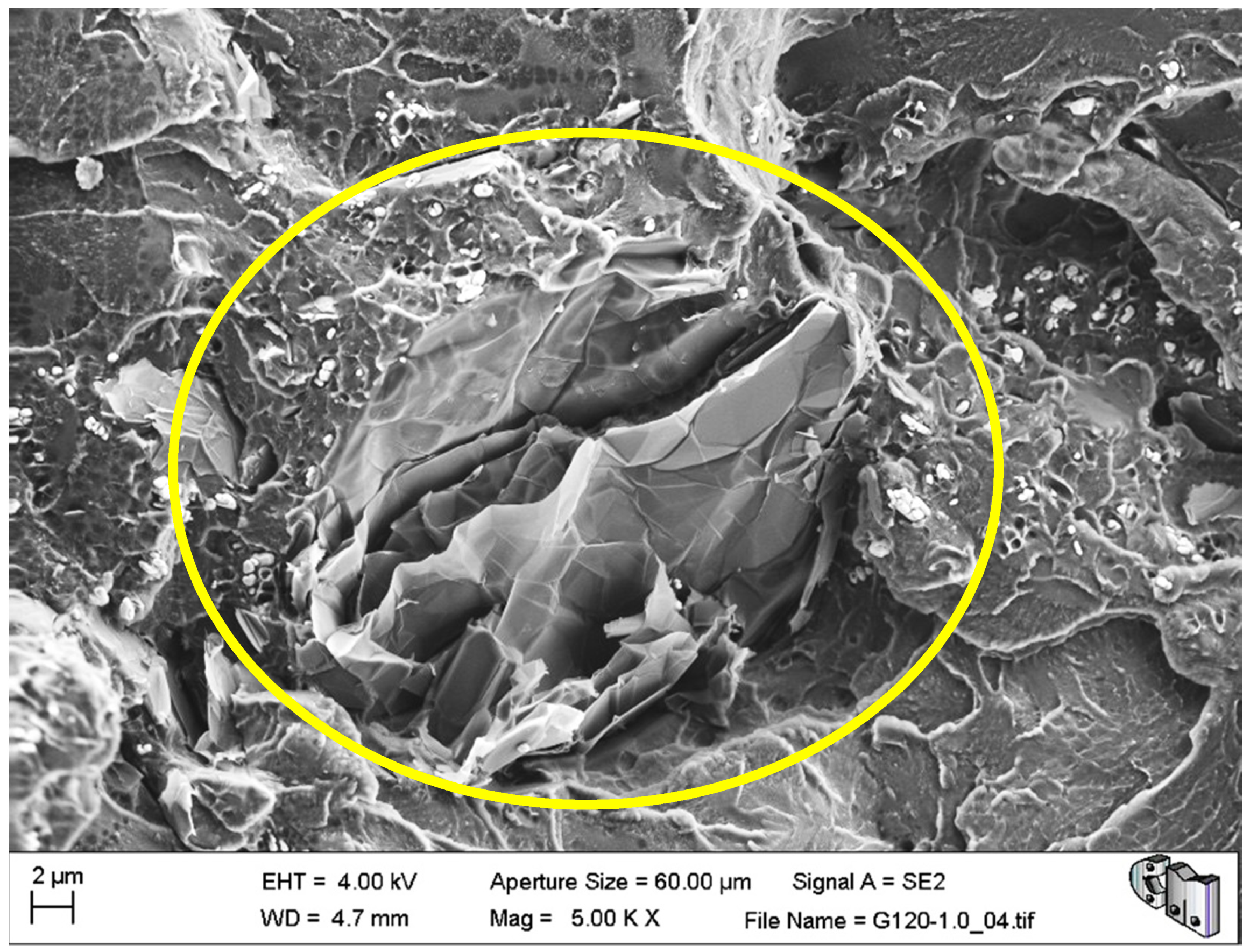 Polymers 13 02027 g007 550
