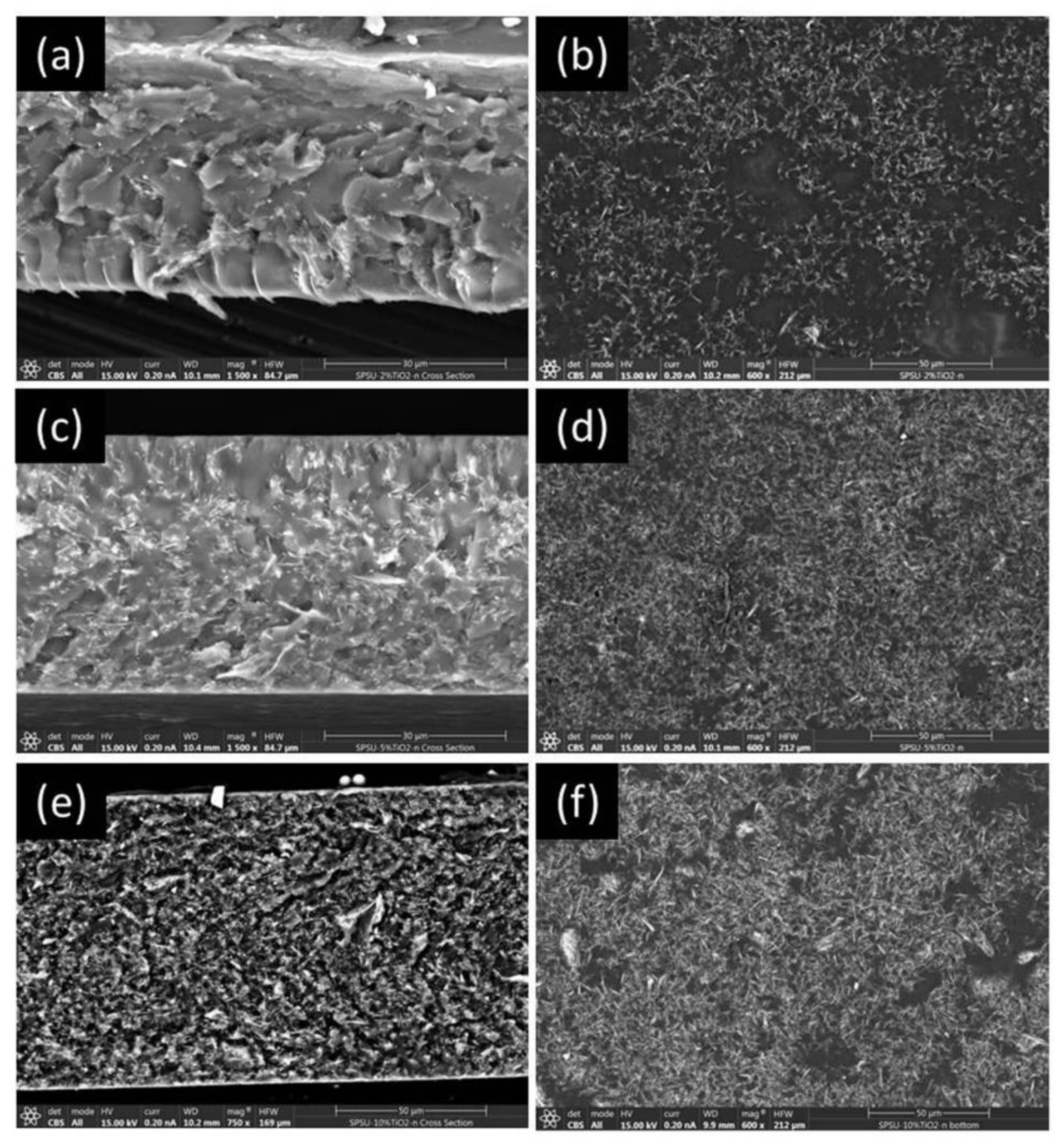 Polymers 13 02030 g004 Polymers 13 02030 g004