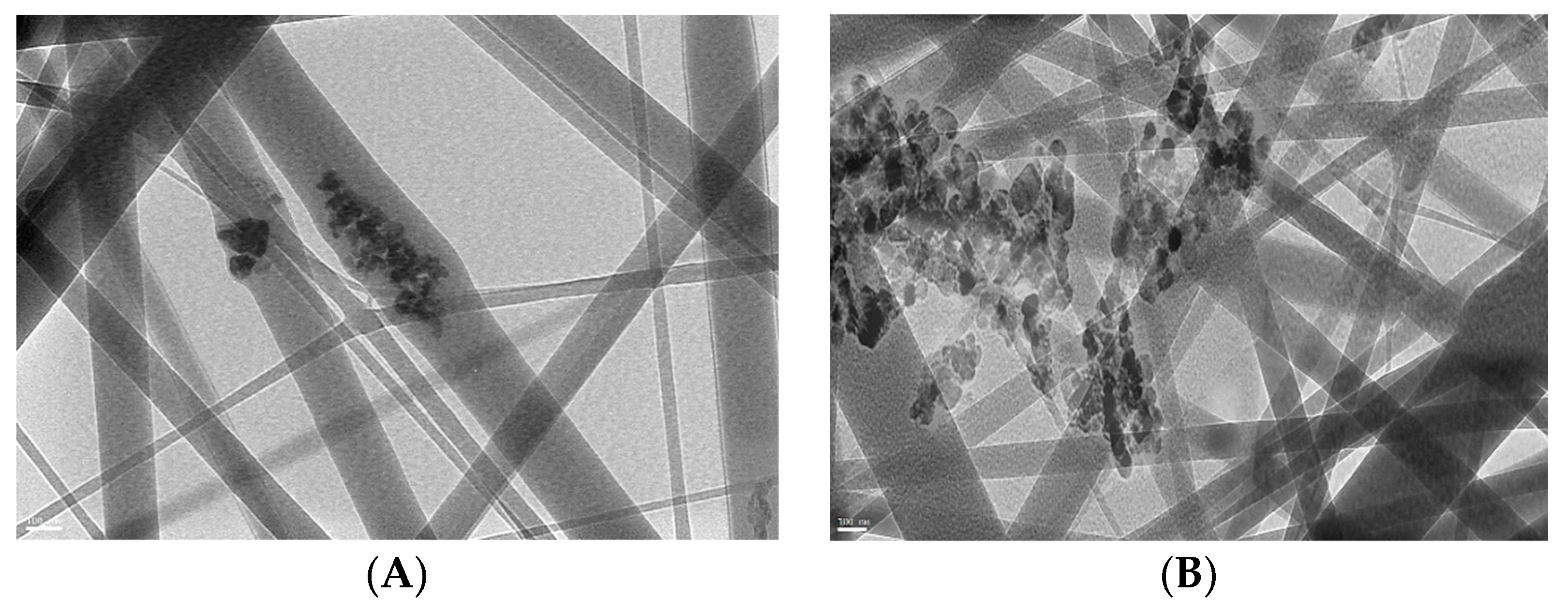 Polymers 13 02033 g002