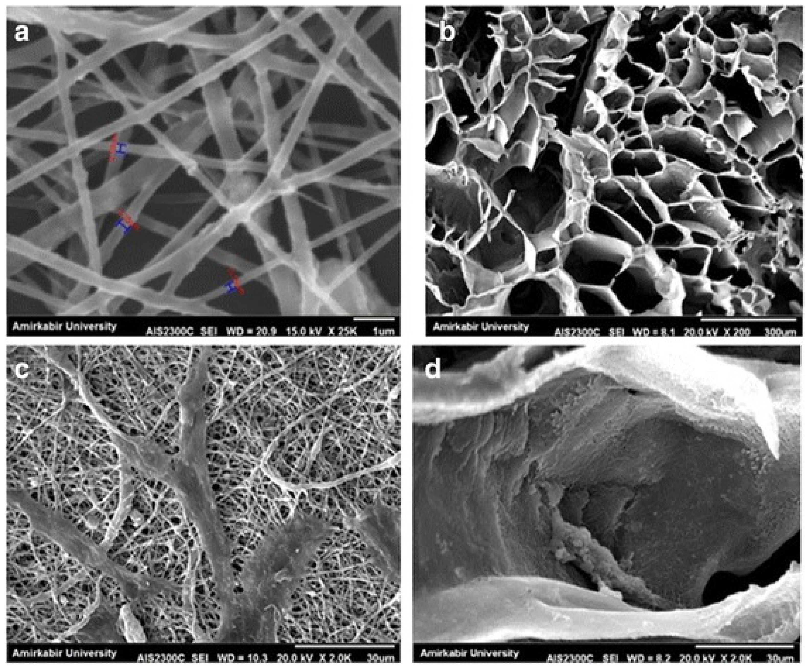 Polymers 13 02041 g003