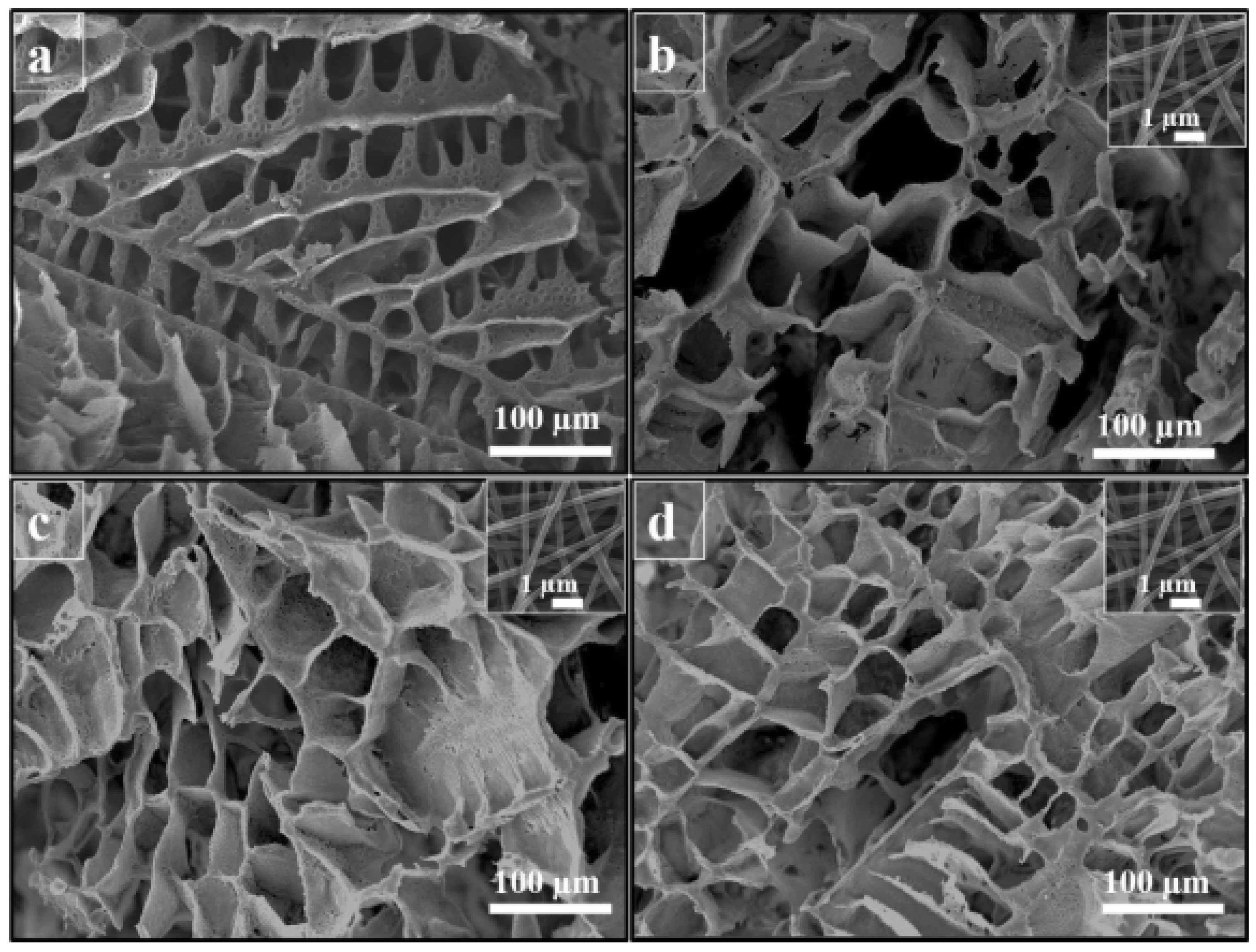 Polymers 13 02041 g008