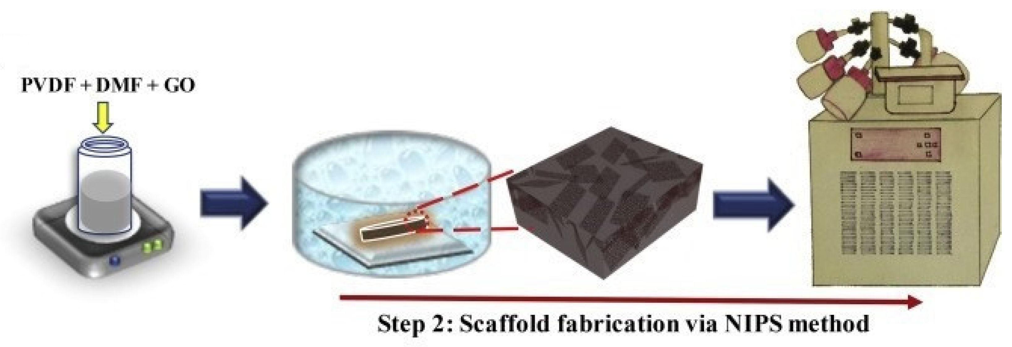 Polymers 13 02041 g009