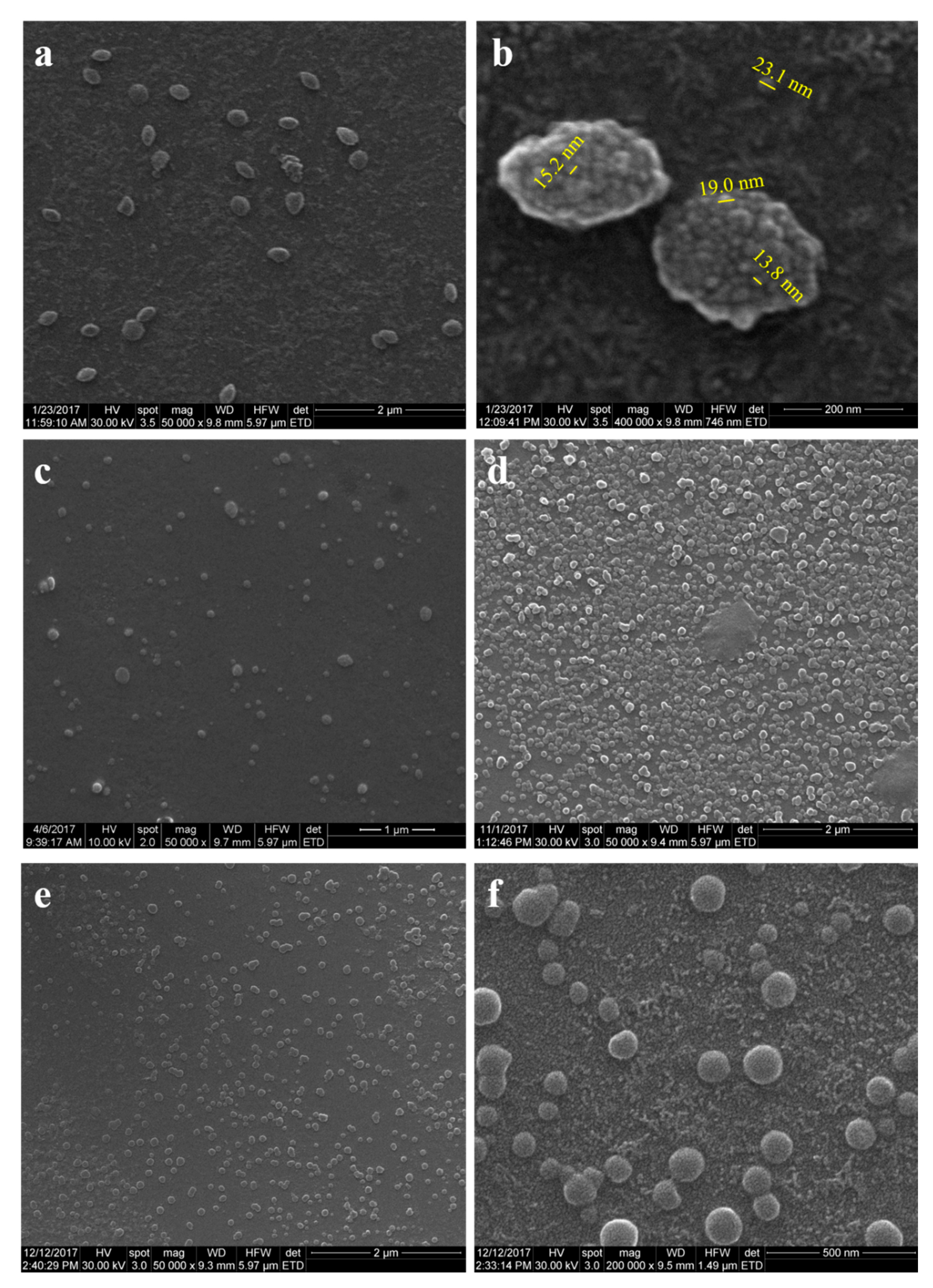 Polymers 13 02047 g006