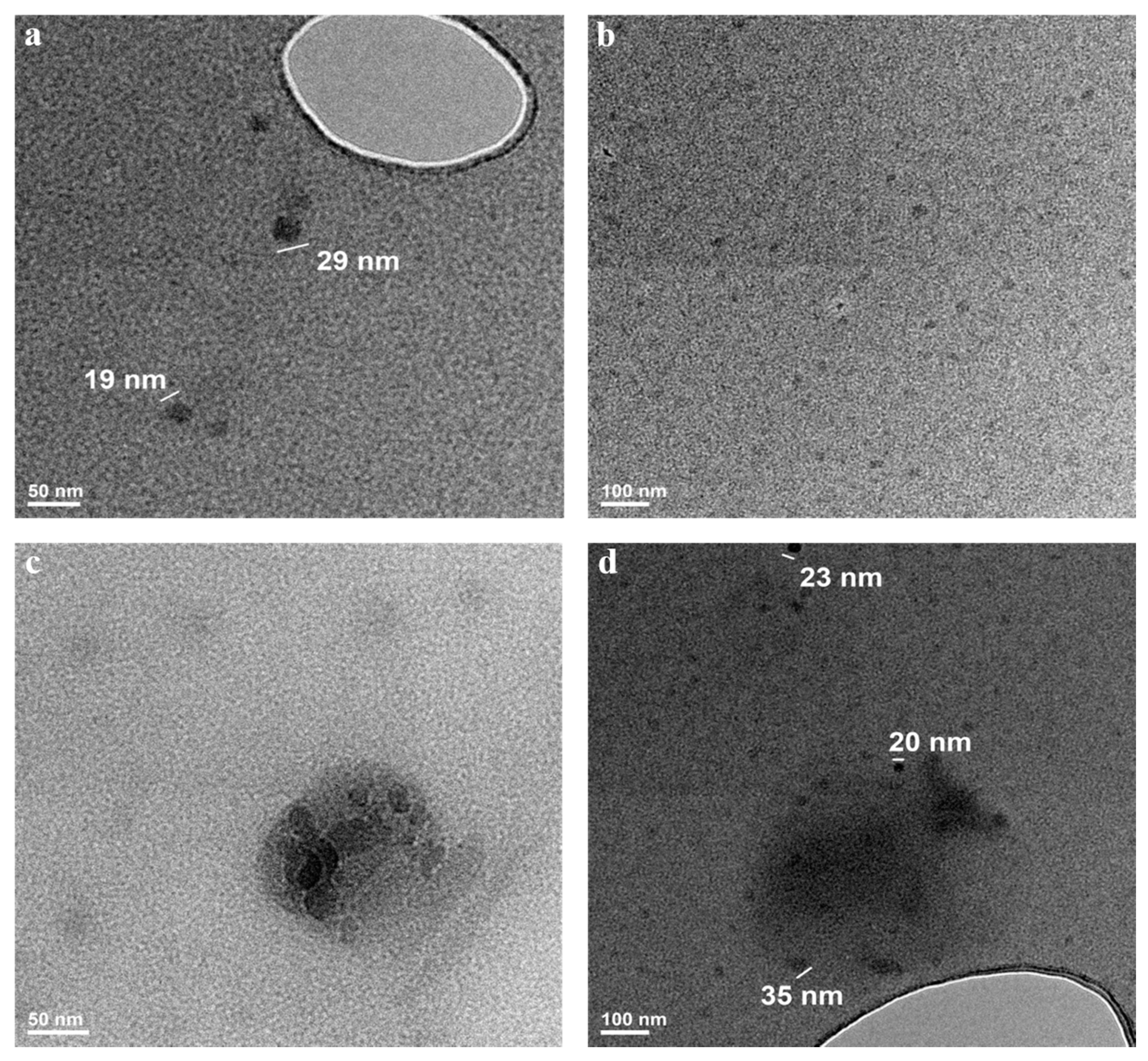 Polymers 13 02047 g007a