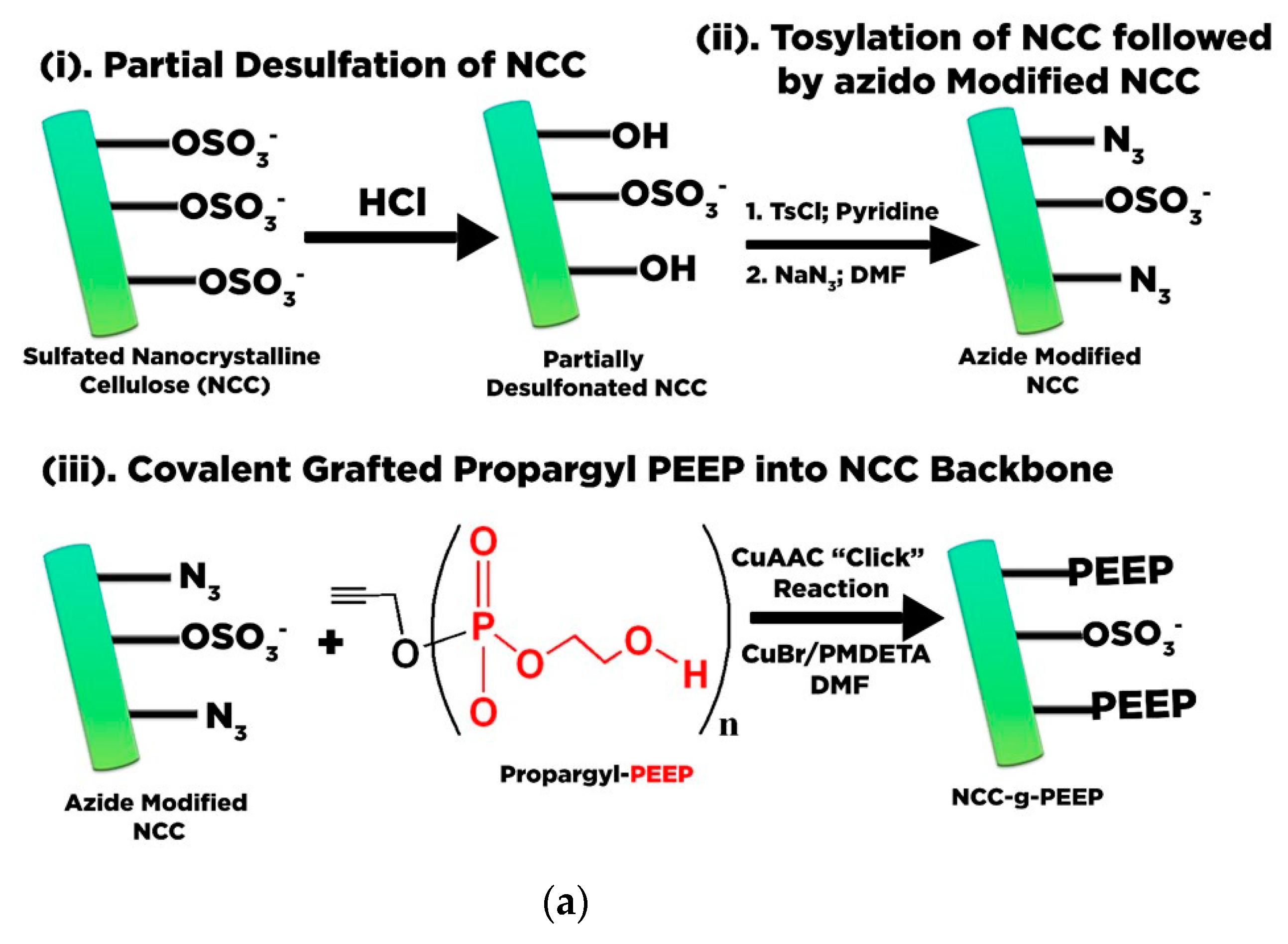 Polymers 13 02052 g008a 550