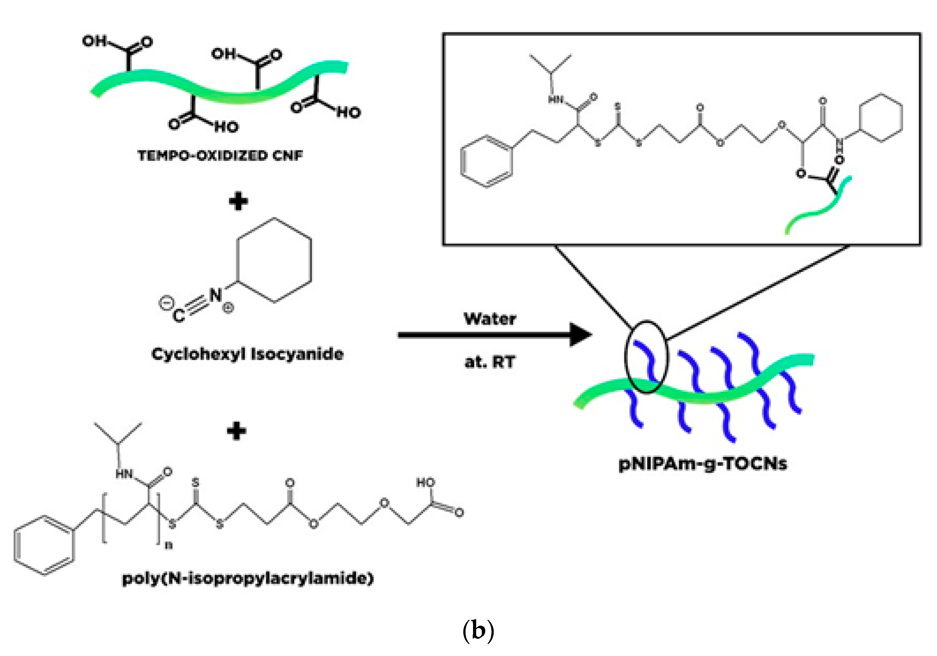 Polymers 13 02052 g008b 550
