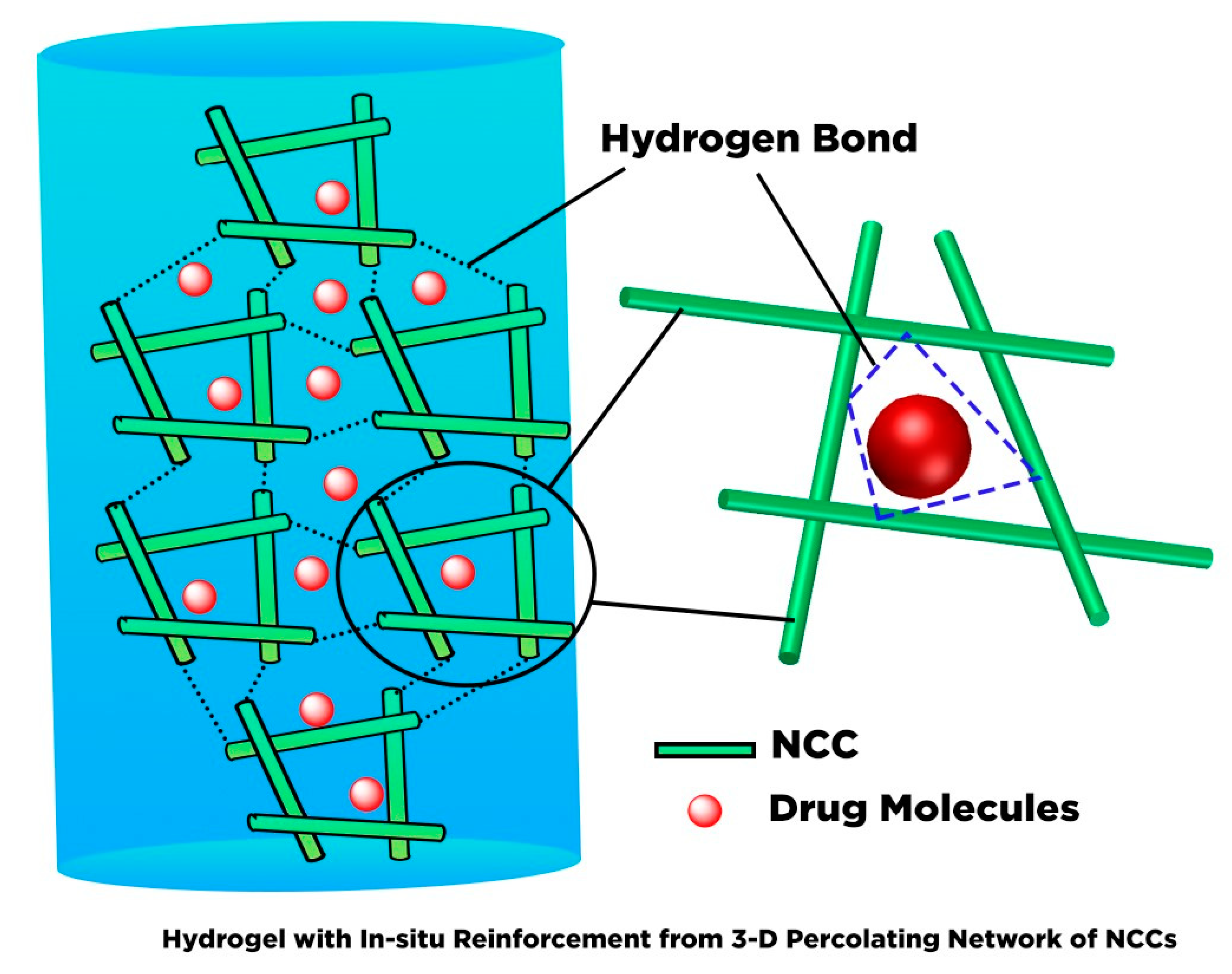 Polymers 13 02052 g012 550