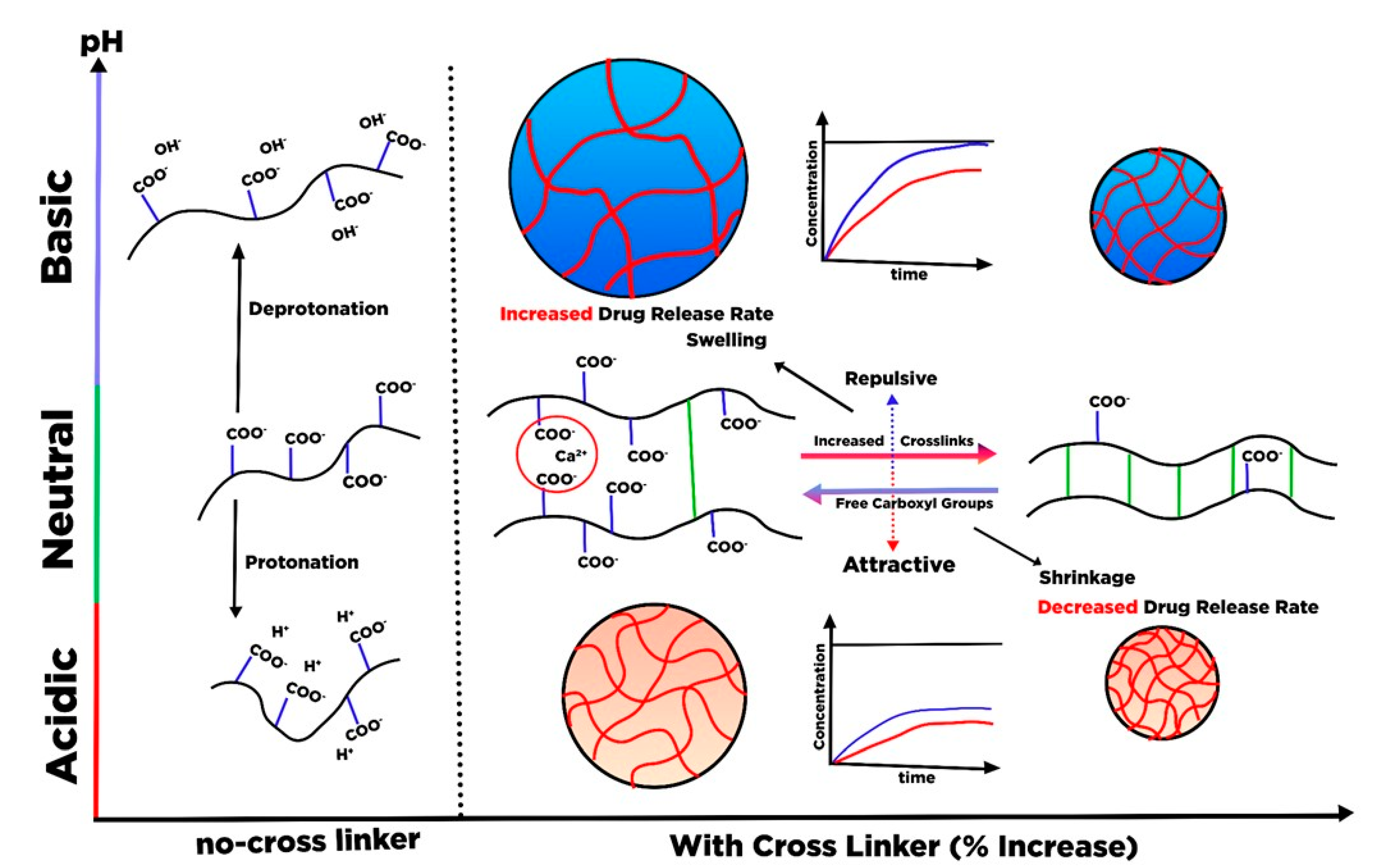 Polymers 13 02052 g013 550