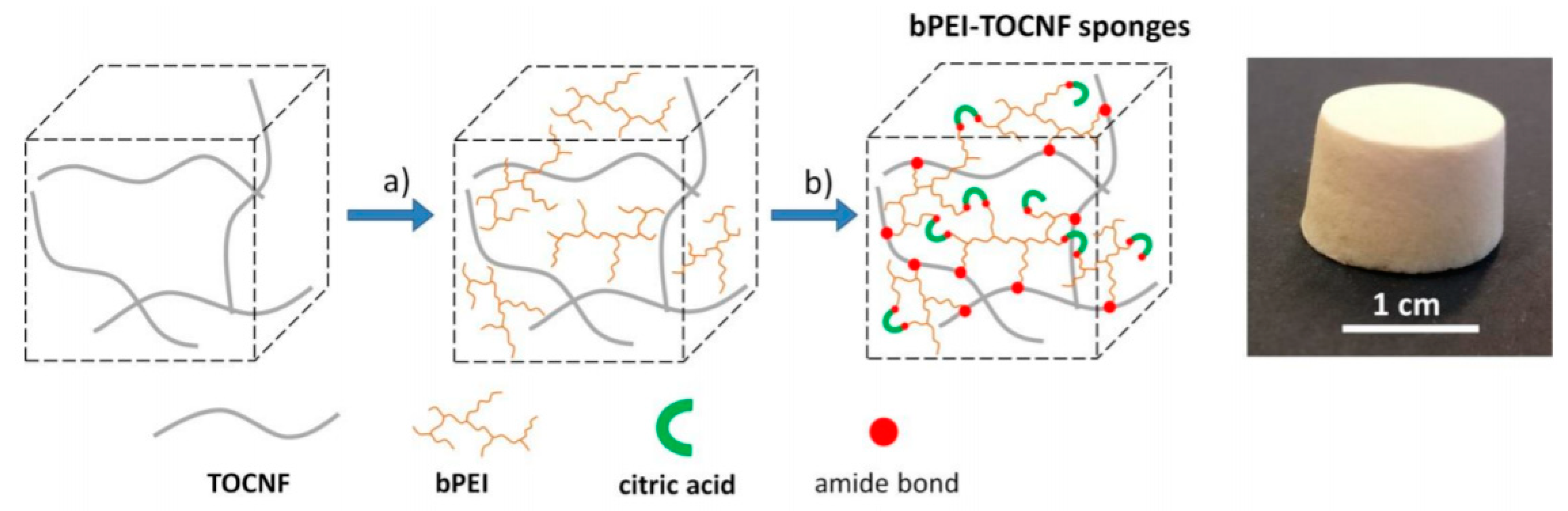 Polymers 13 02052 g016 550