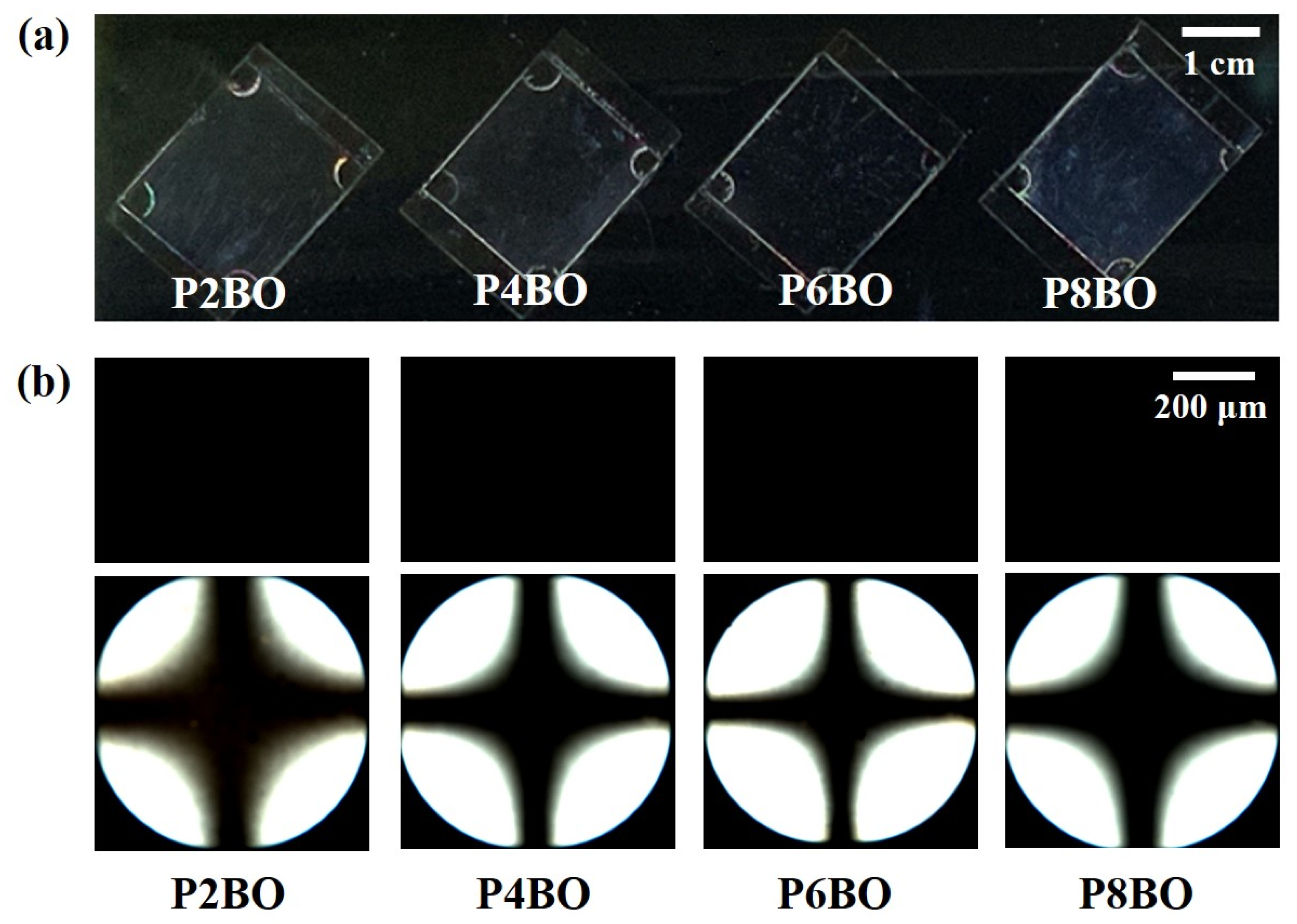 Polymers 13 02058 g004 550