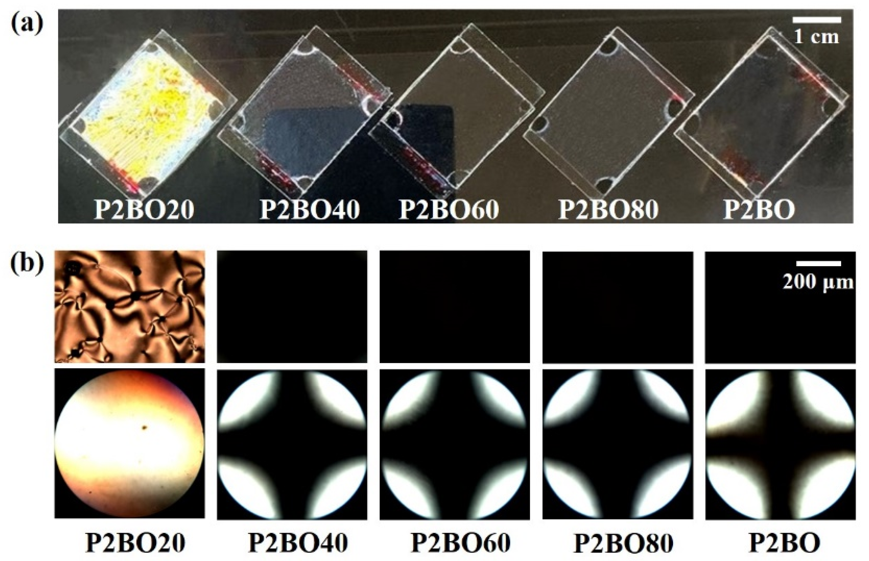 Polymers 13 02058 g005 550