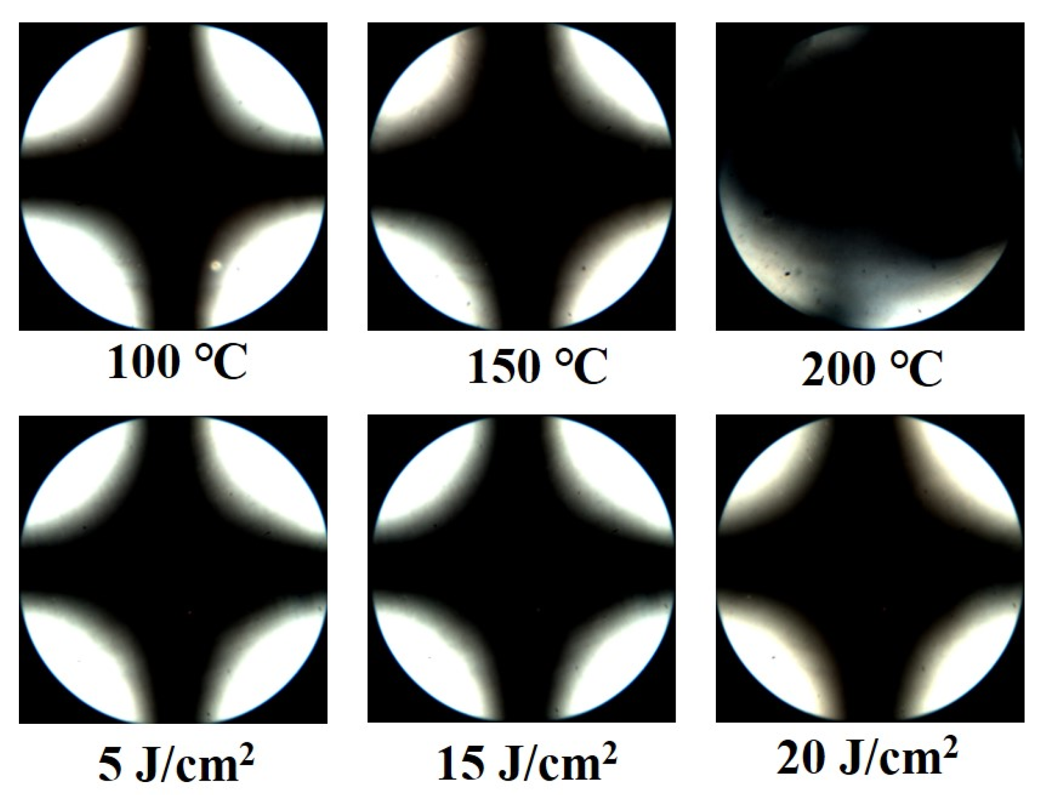 Polymers 13 02058 g007 550